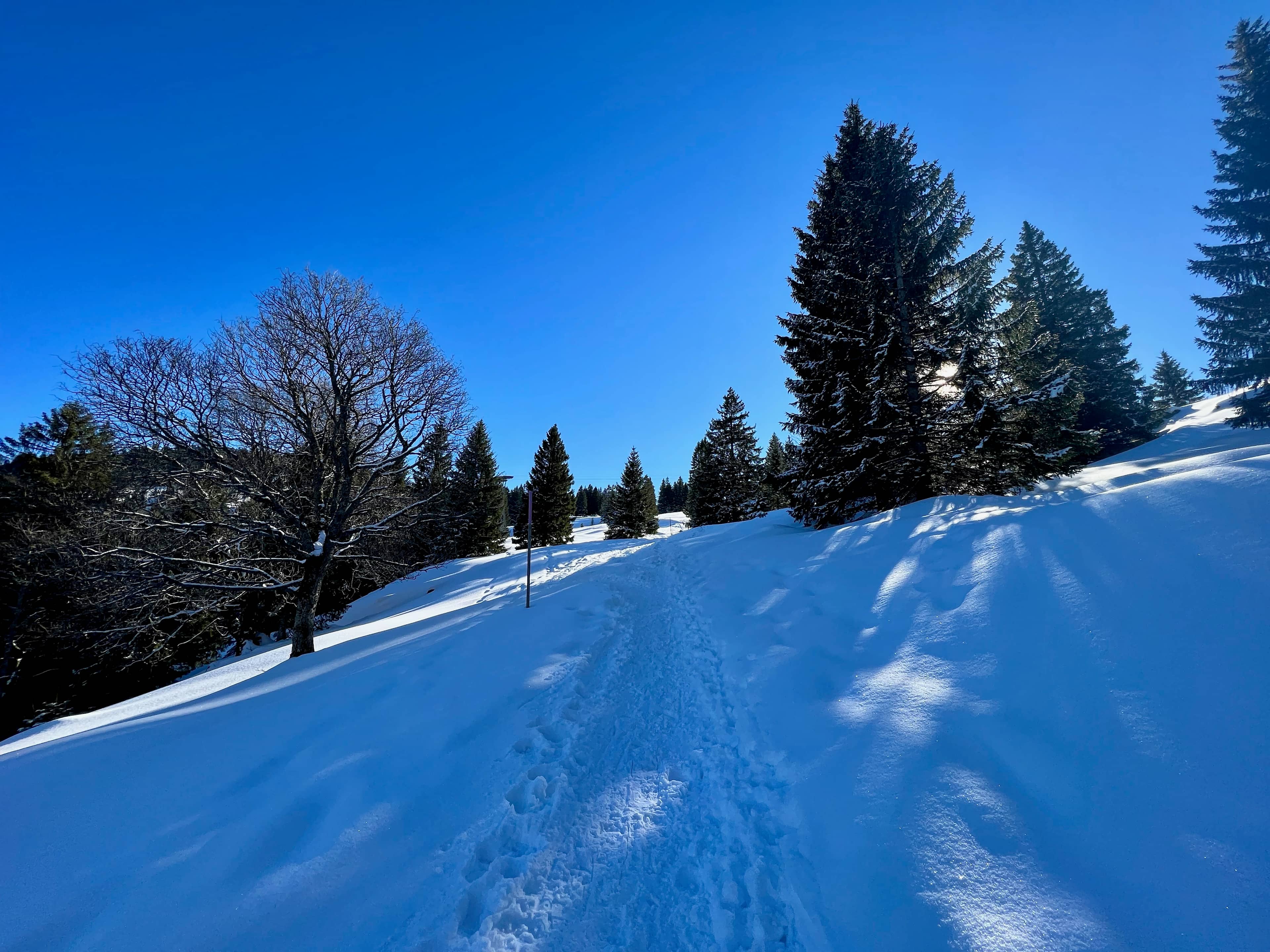 Bald bei der Holzegg