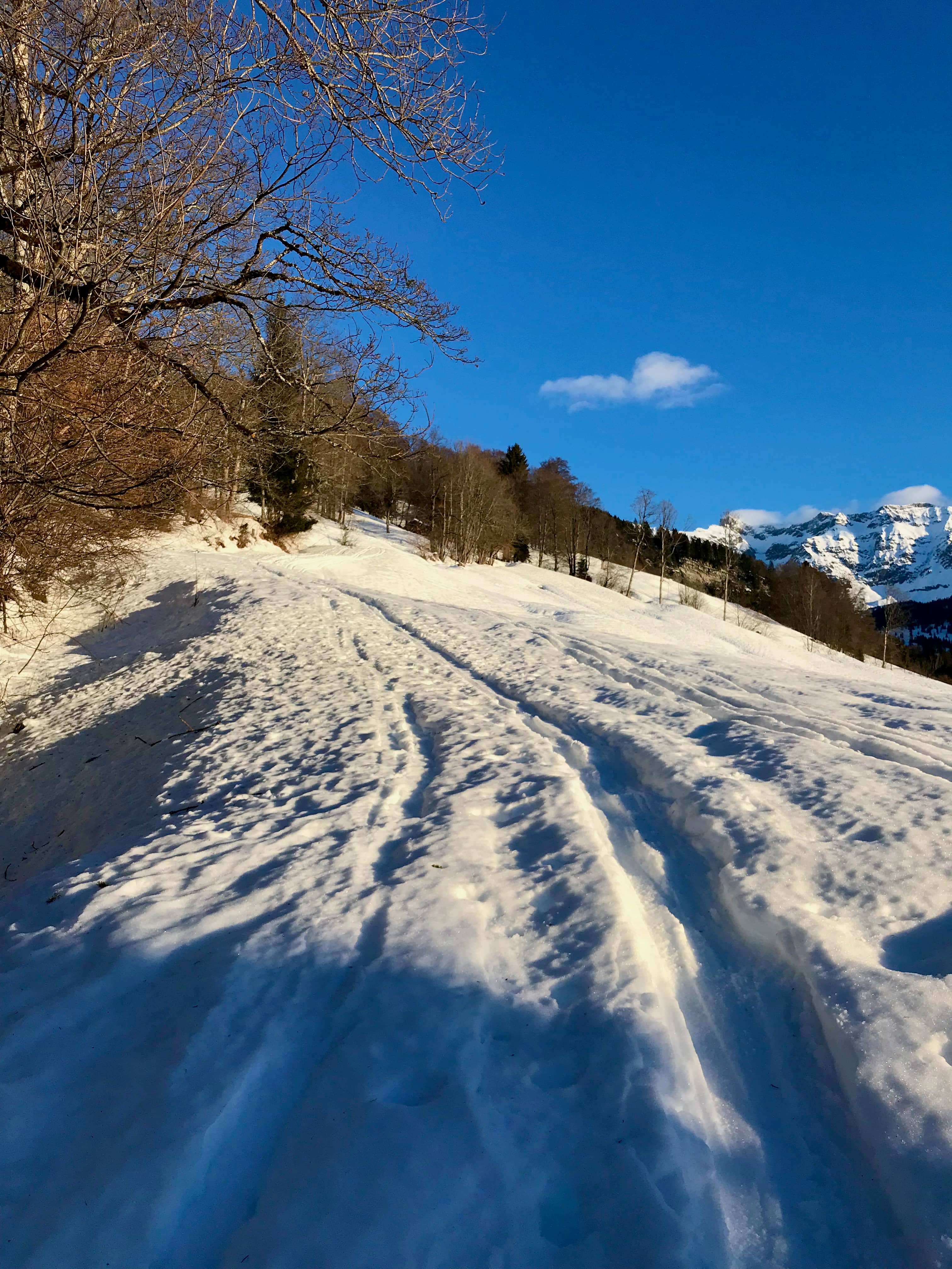 Aufstieg in der Morgensonne