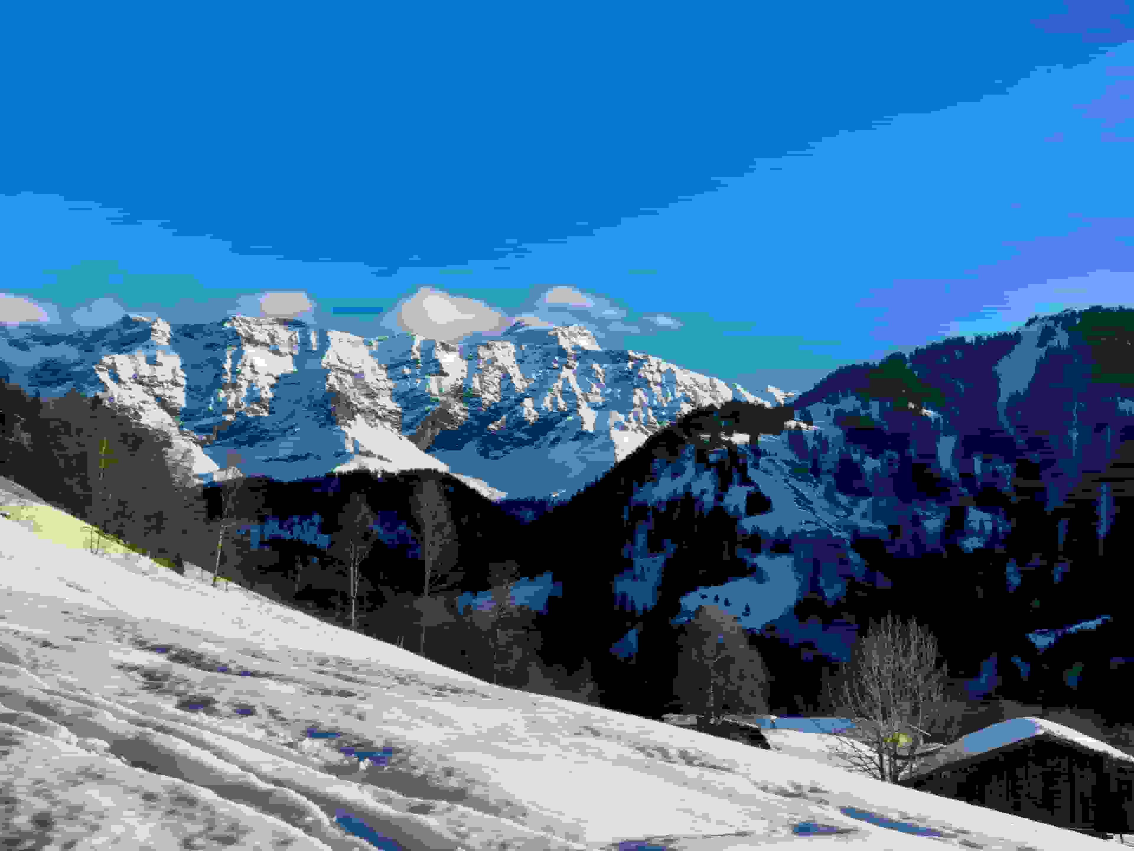 Blick zum Schesaplana