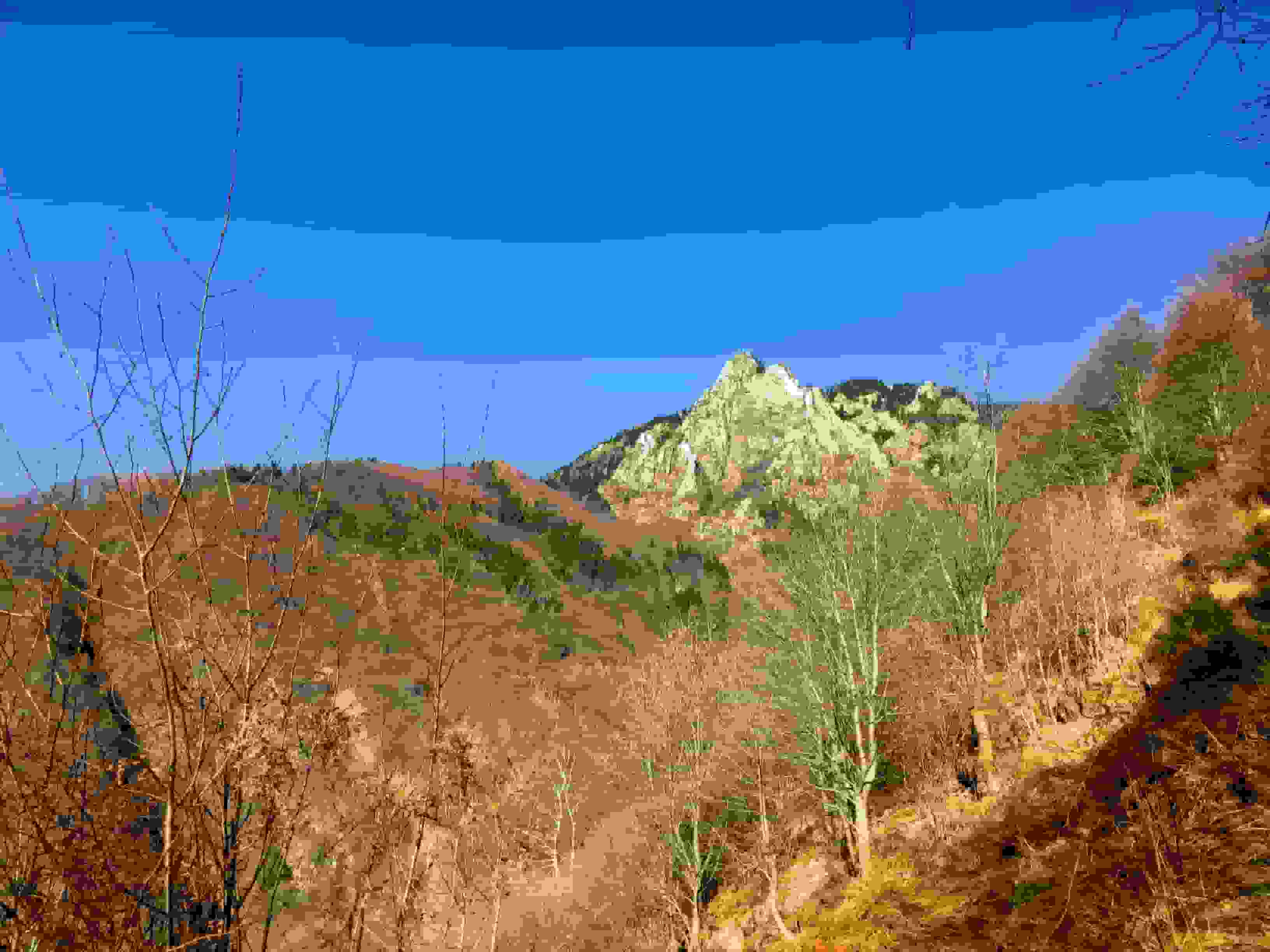 Der erste Blick auf den Sassariente