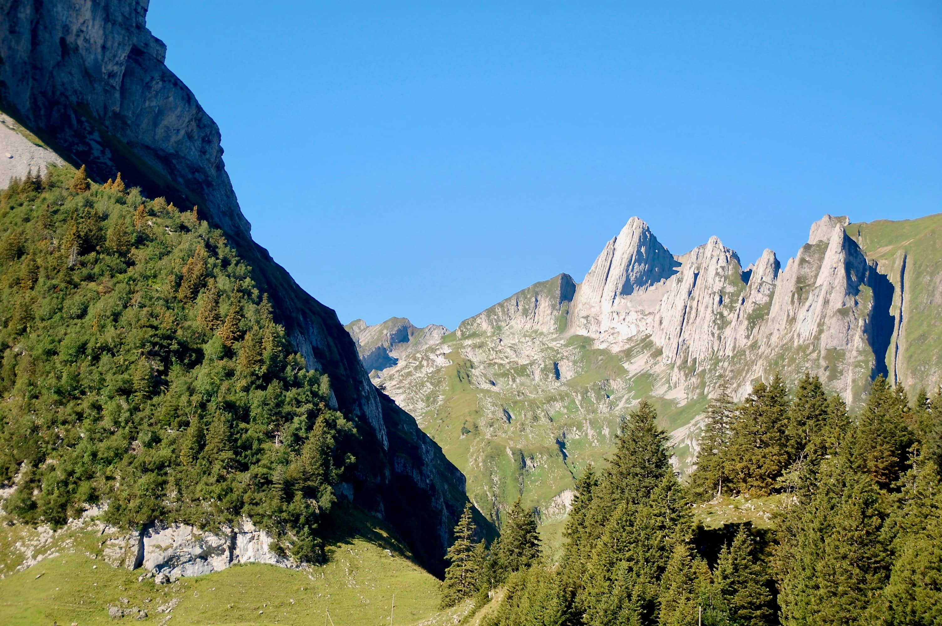 Blick zurück zum Altmann