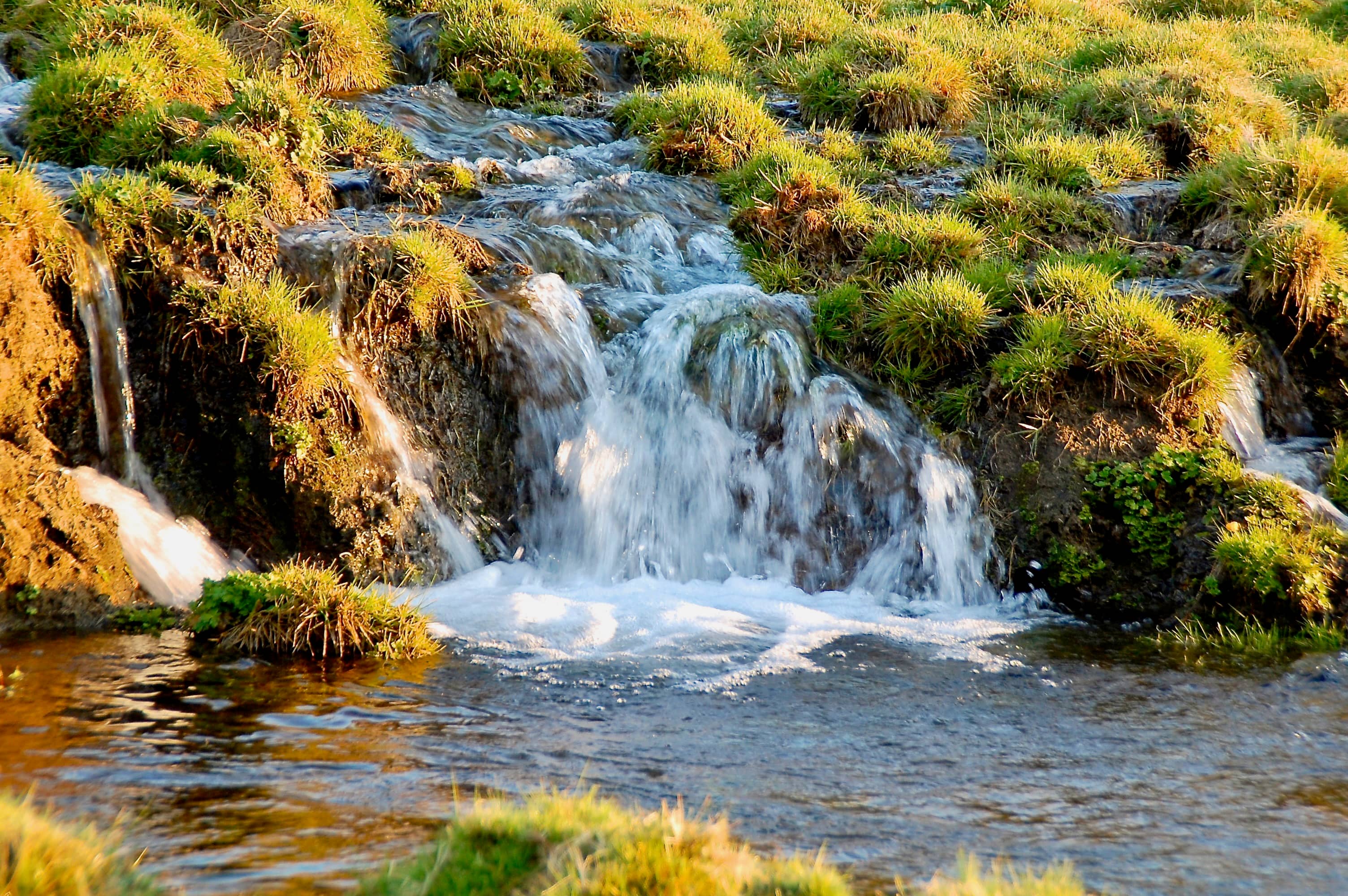 Silver Spring. Feinstes Mineralwasser.