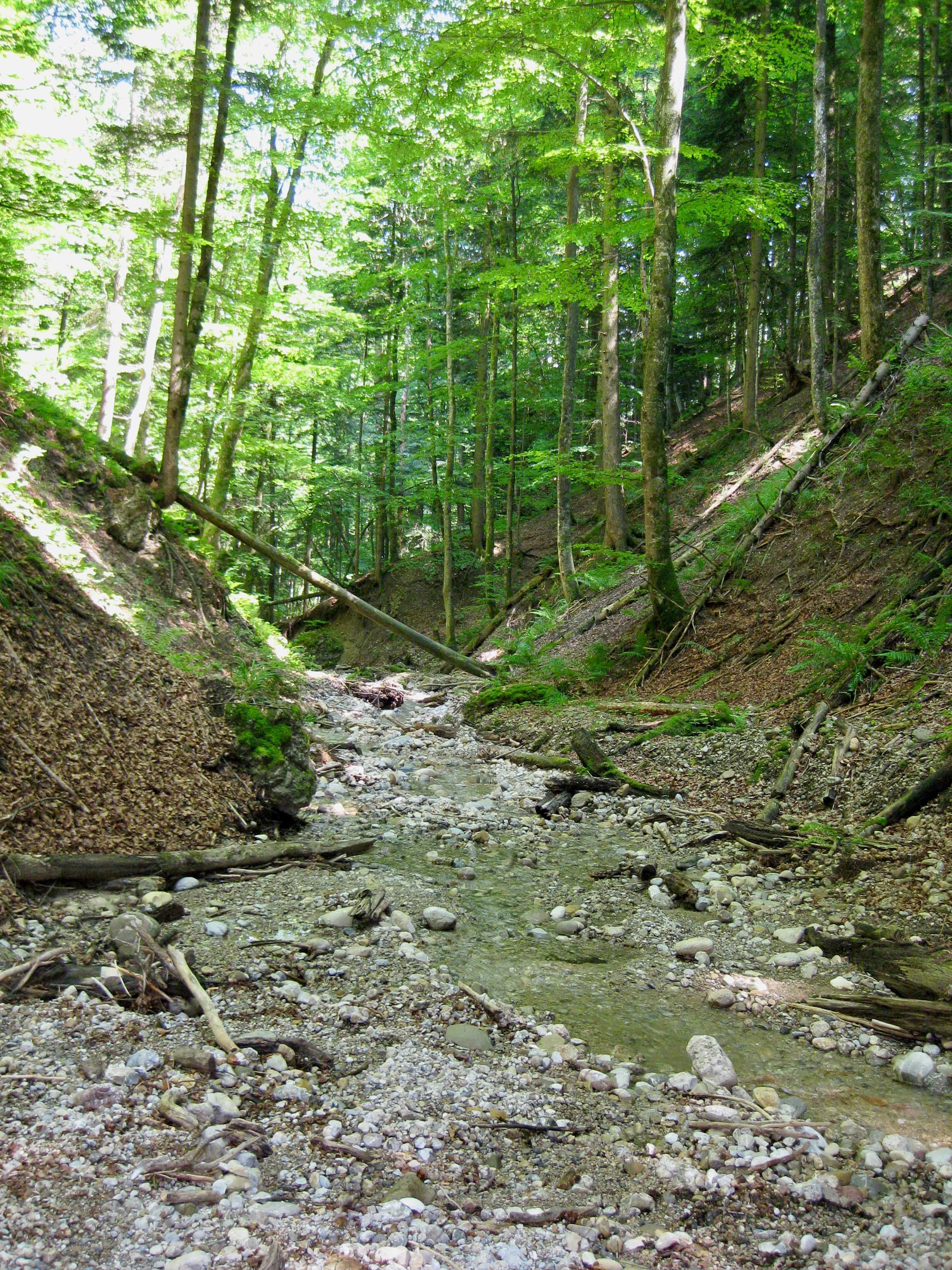 Titelbild Schwarzenberg Ostwand