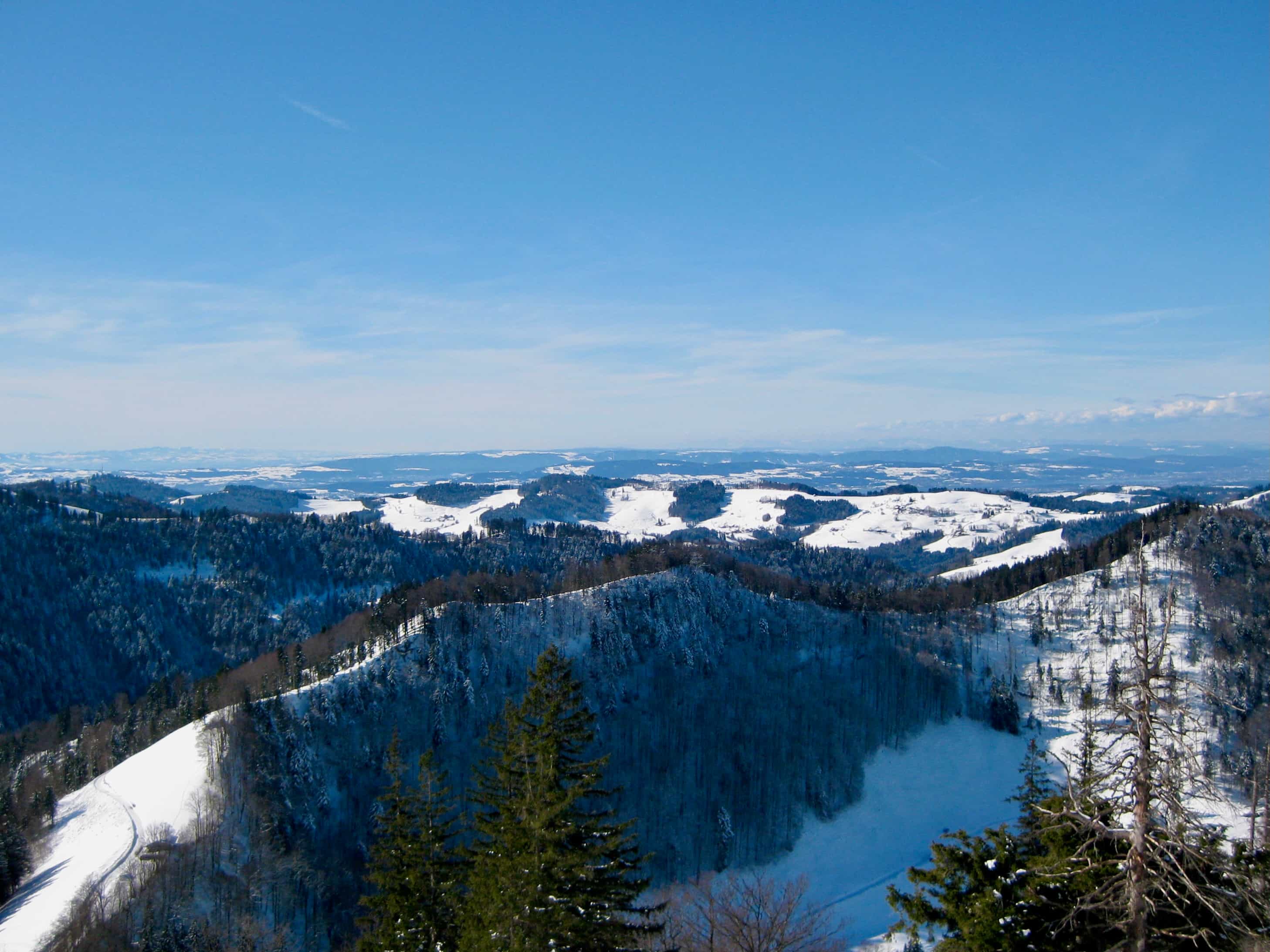 Titelbild Schnebelhorn