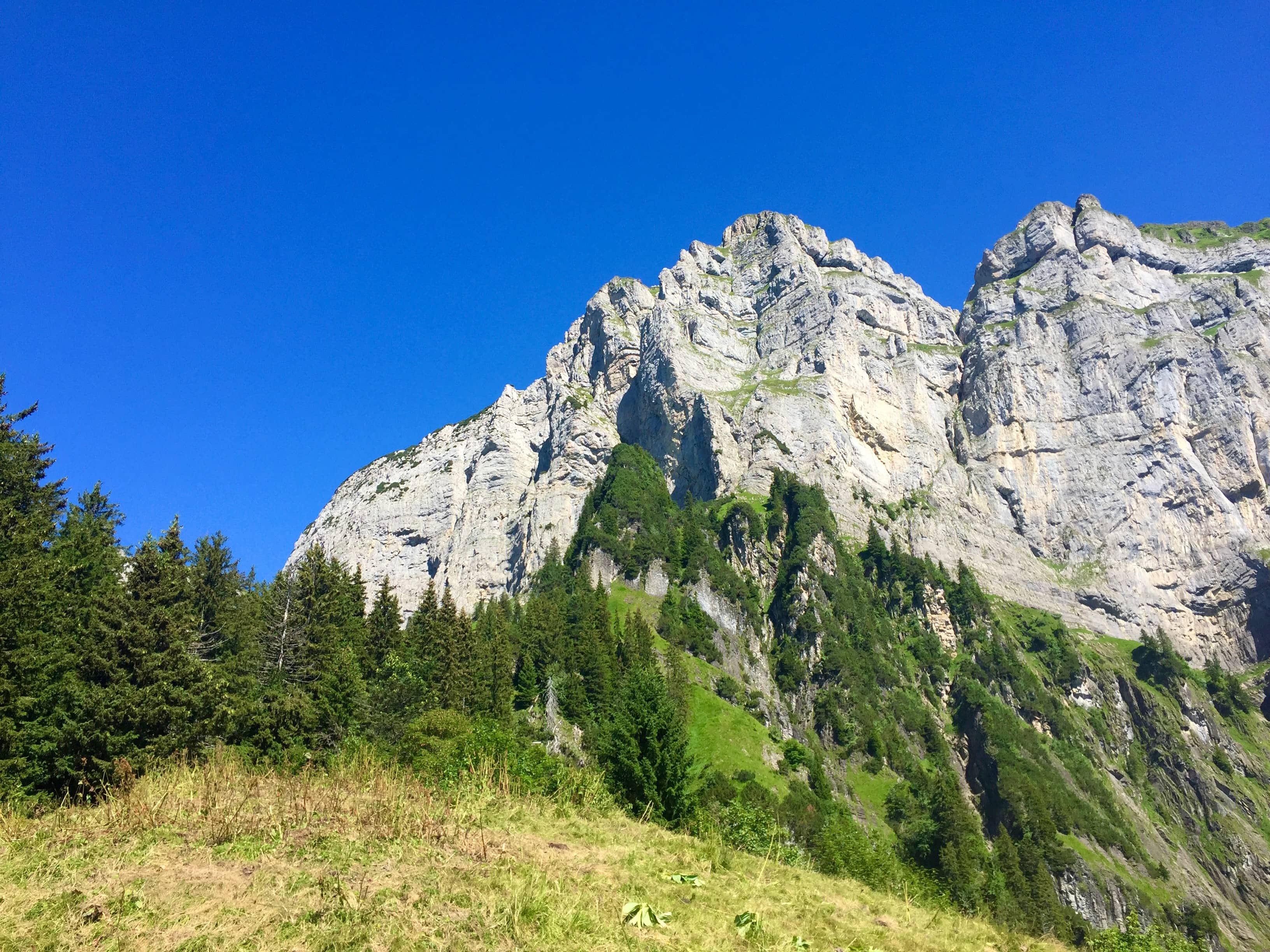 Zwischendurch ein Blick nach oben