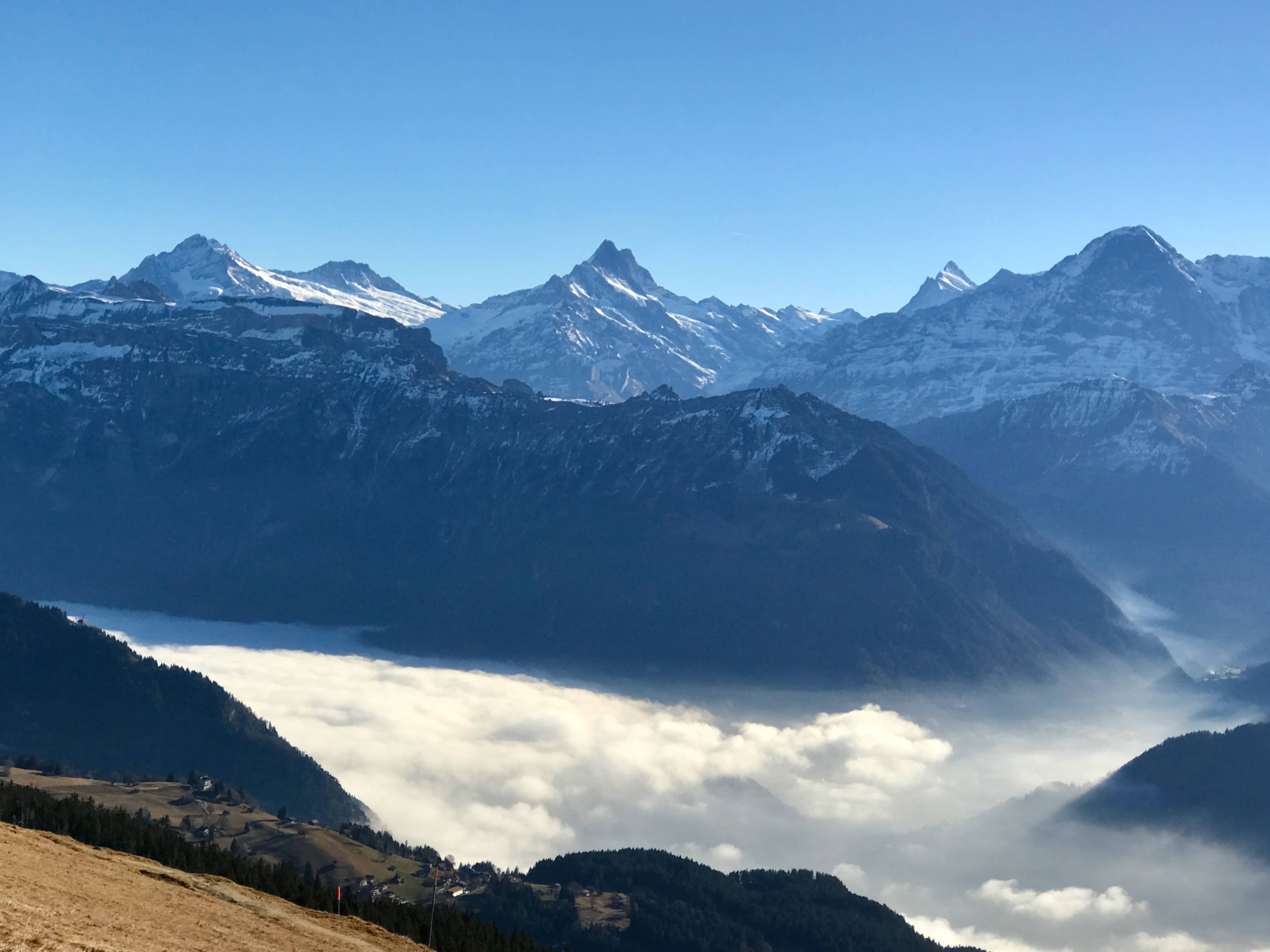 Blick zu Wetterhorn, Schreckhorn/Lauteraarhorn, Finsteraarhorn und zum Eiger