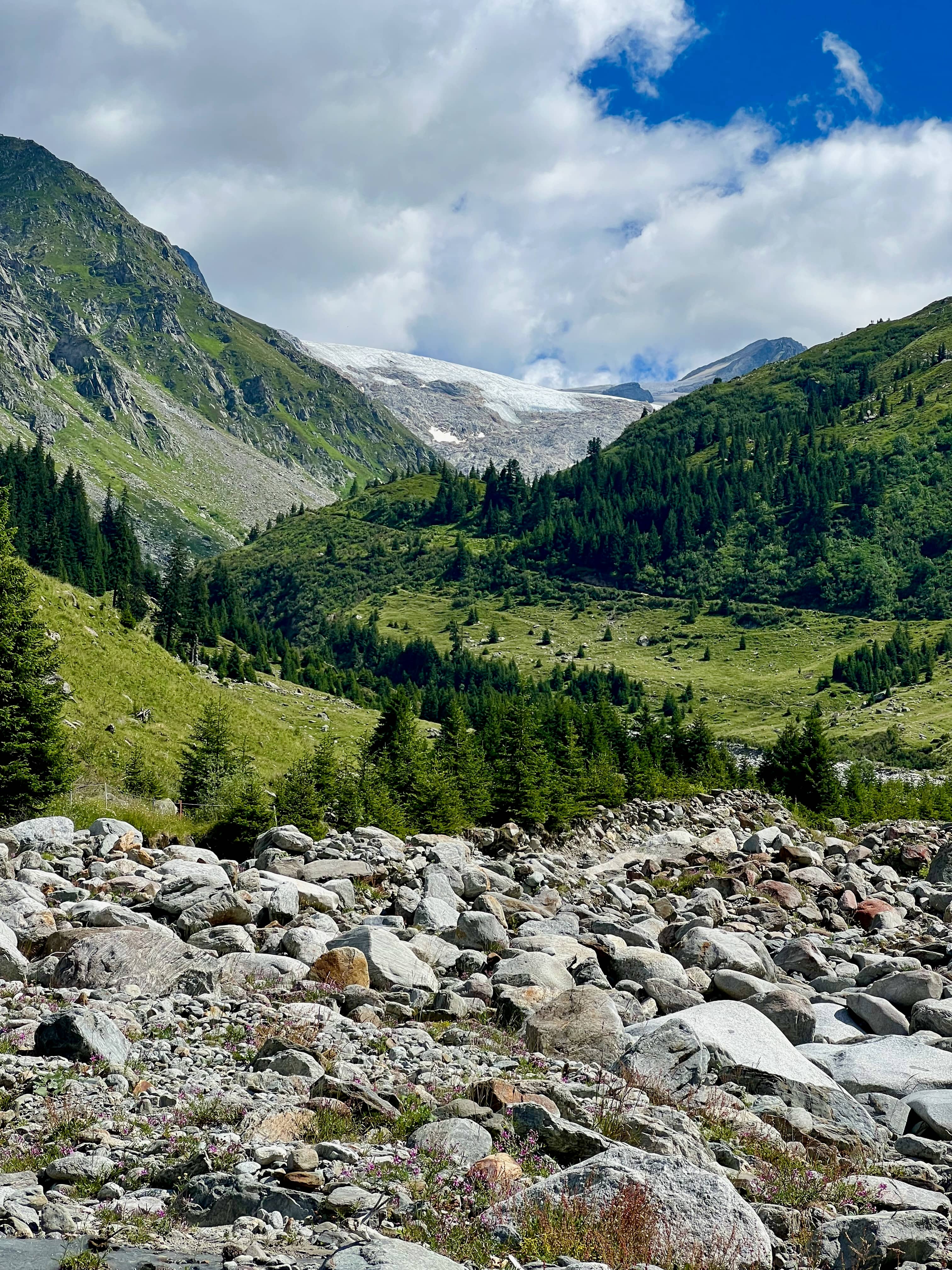 Blick zurück