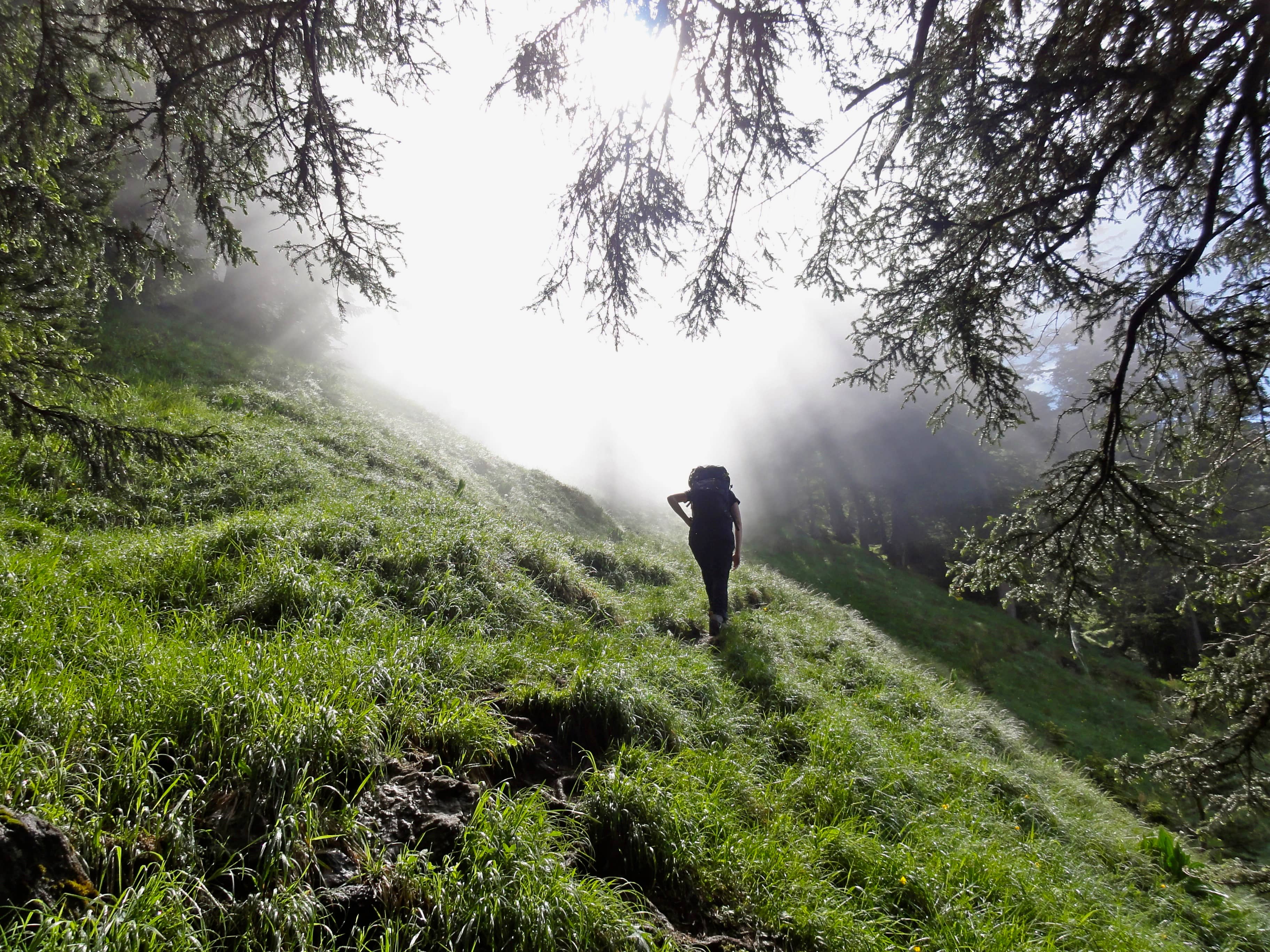 Titelbild Tour Rophaien und Äbneter Stöckli