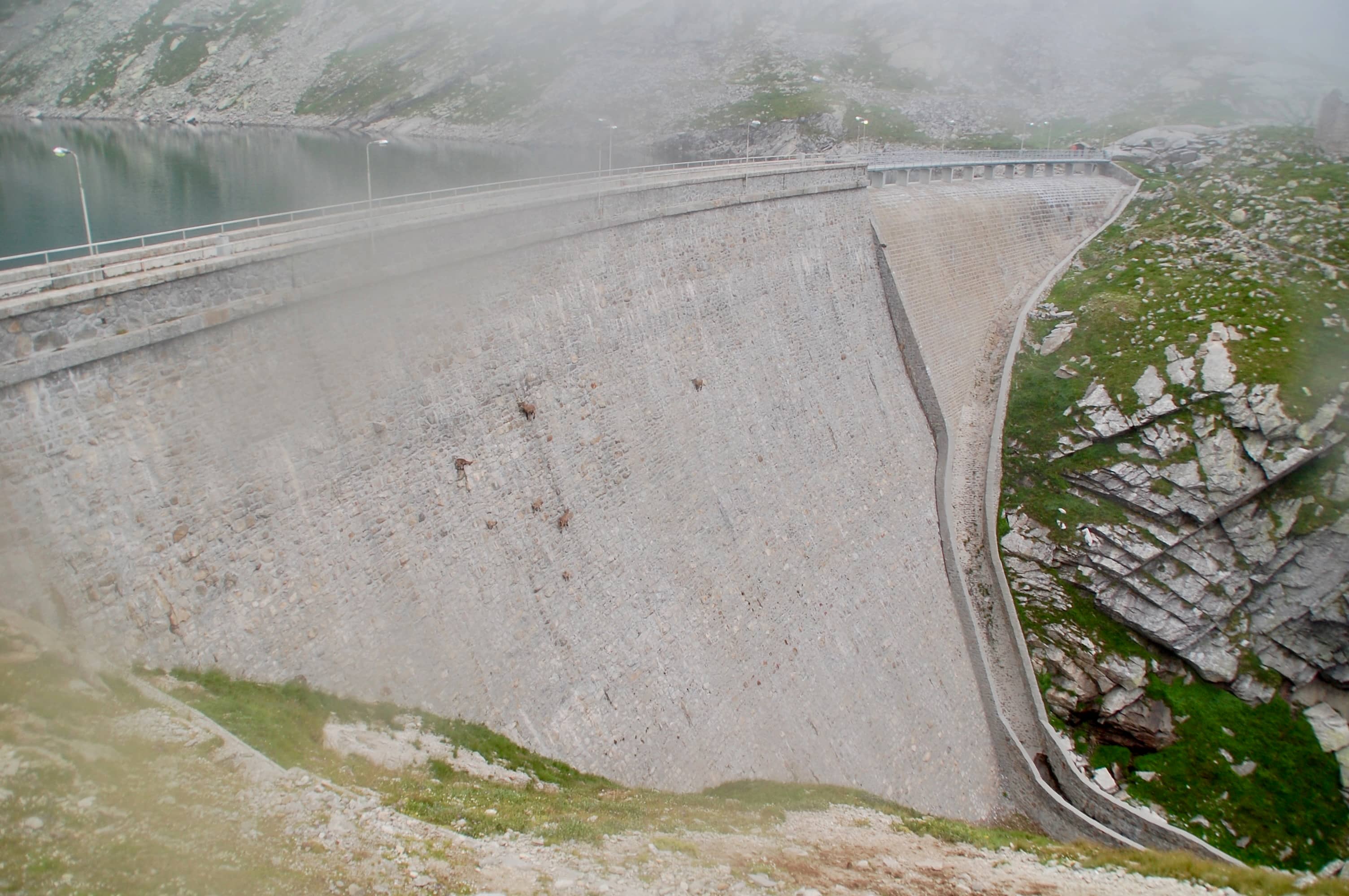 Was sind denn das für braune Punkte an der Staumauerwand?