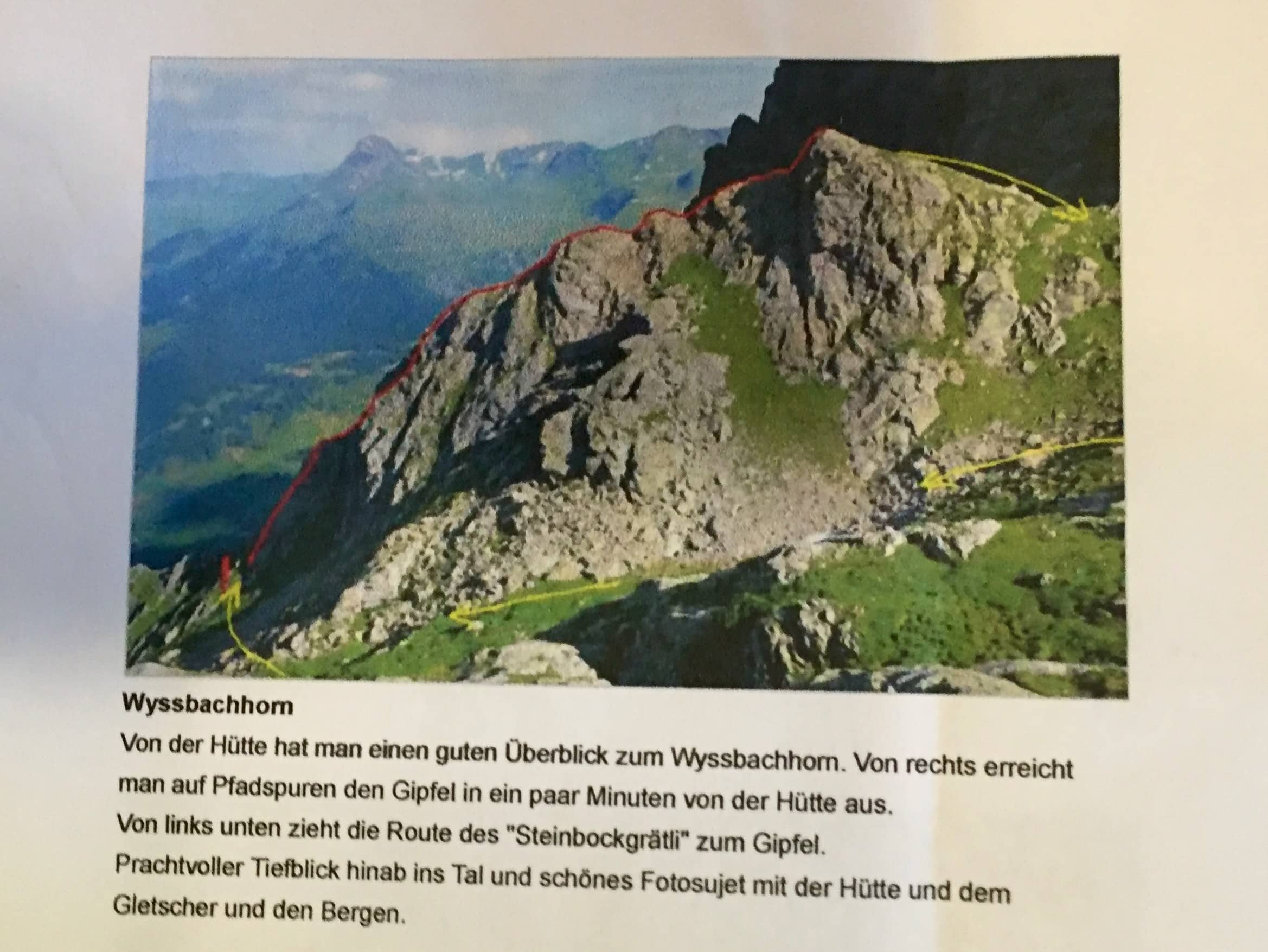 Topo Wyssbachhorn (Steinbockgrätli)