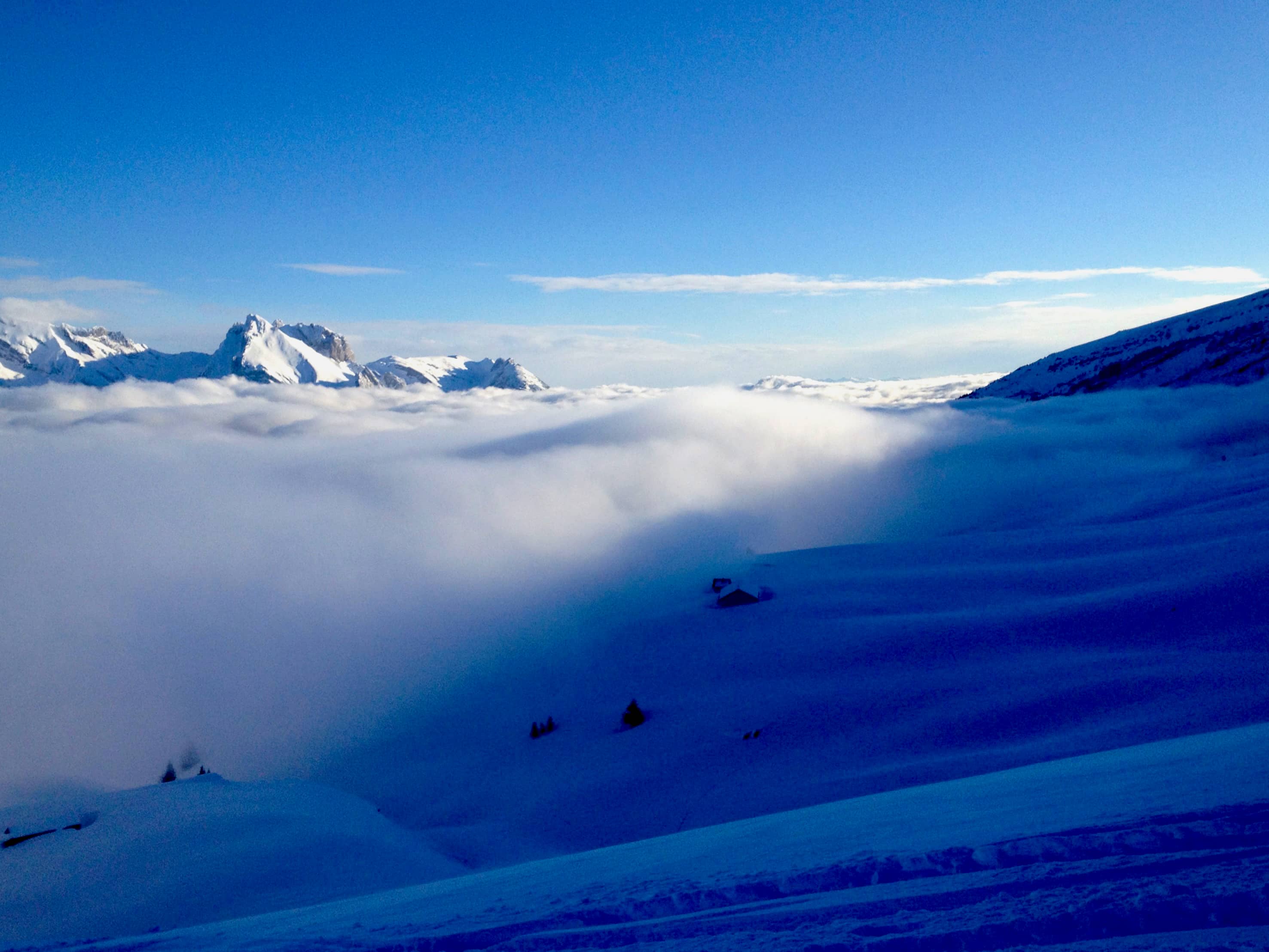 Ganz über dem Nebel