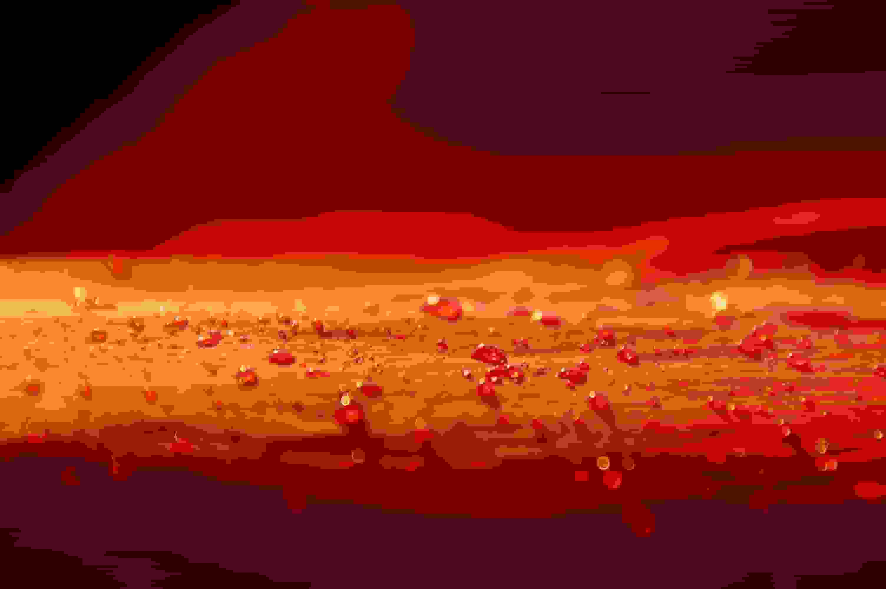 Tautropfen auf dem Biwaksack