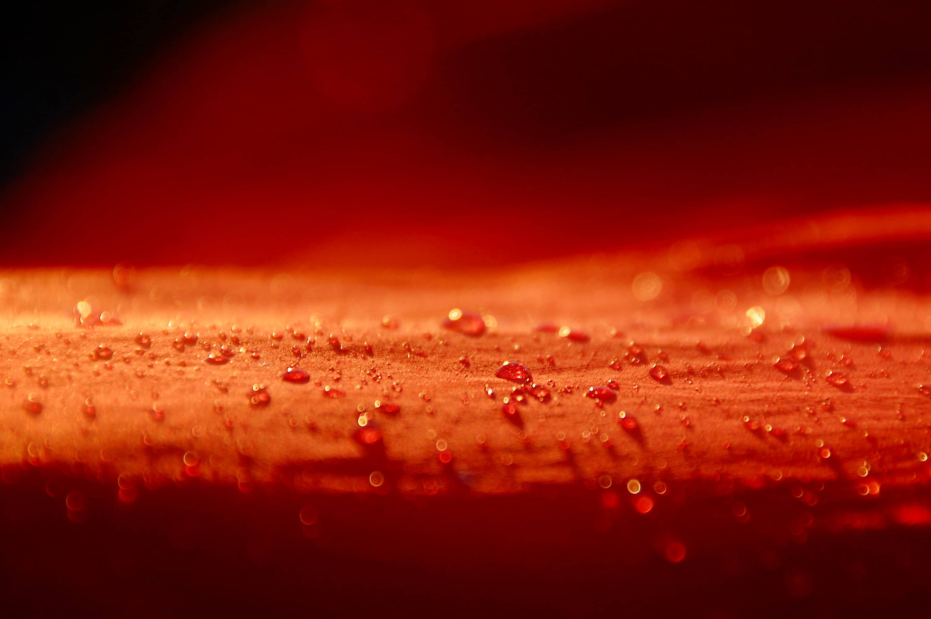 Tautropfen auf dem Biwaksack