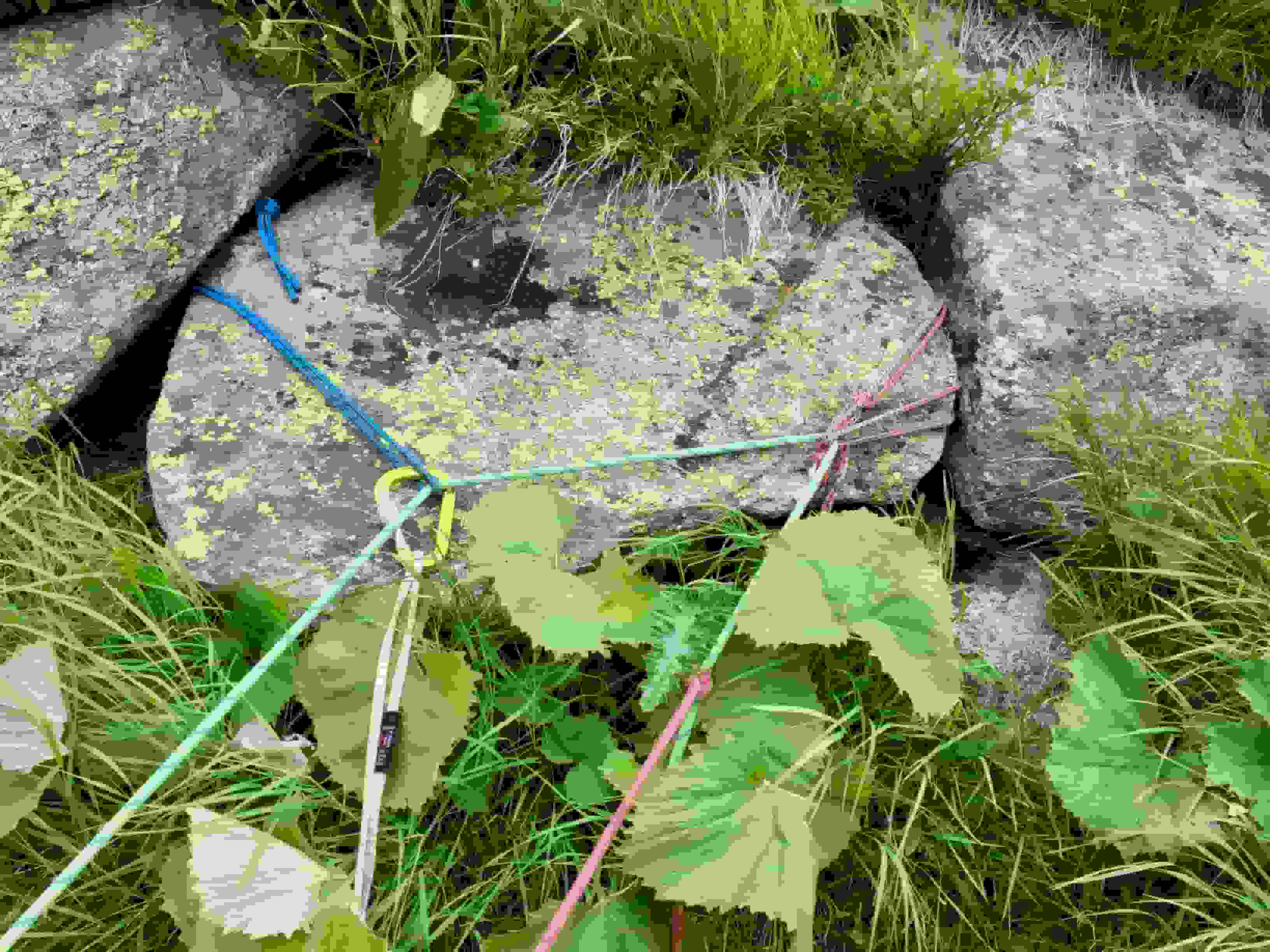 Hier und da muss improvisiert werden