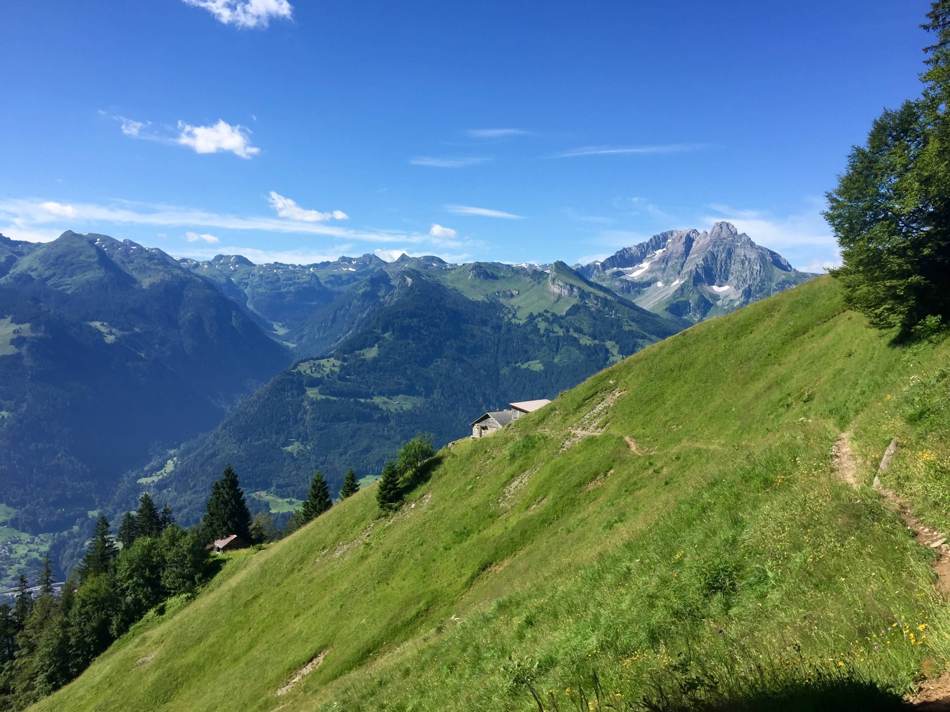 Blick zurück zur Laubegg