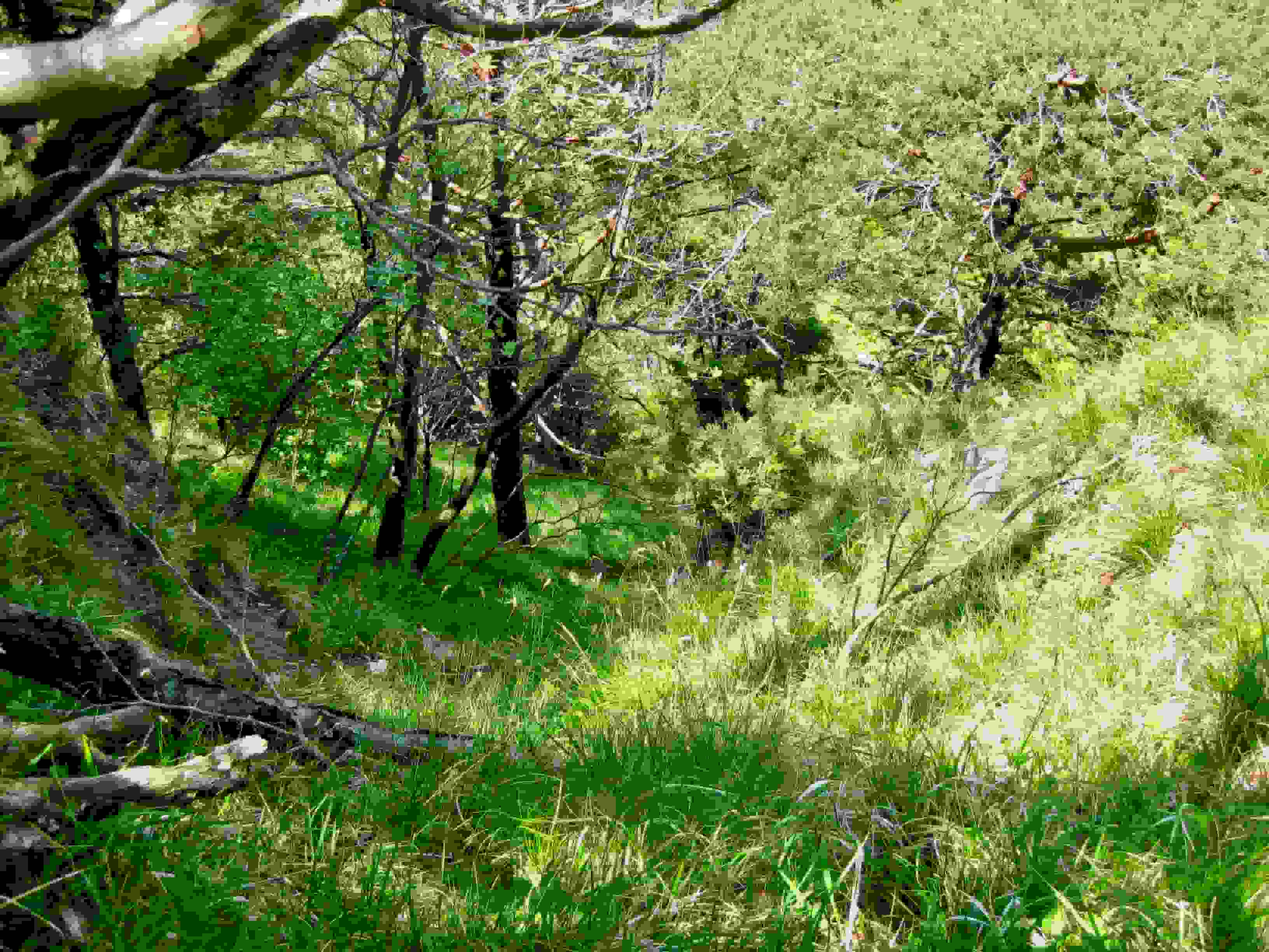 Hier geht's zur Sache!