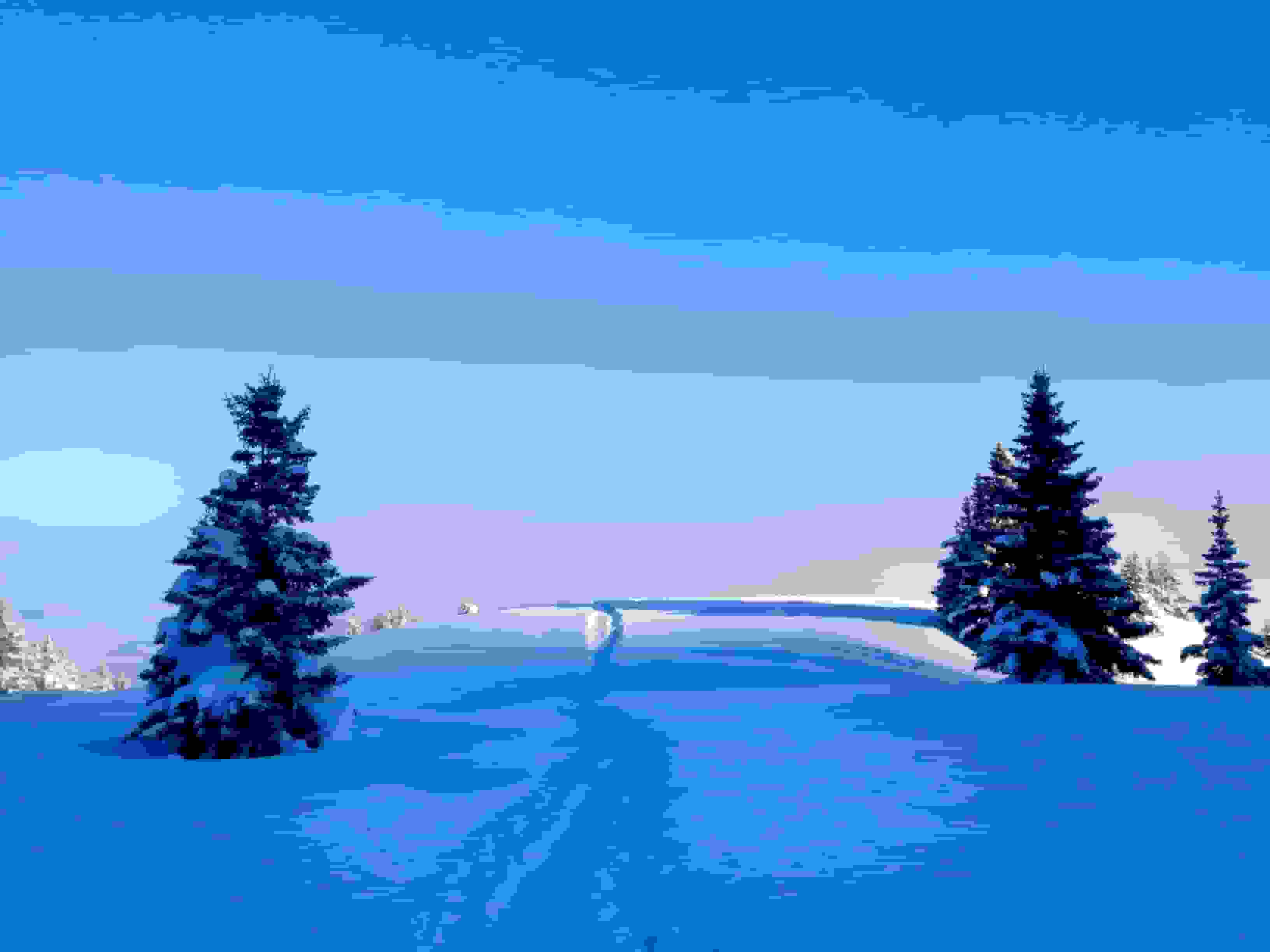 Knapp über dem Nebel