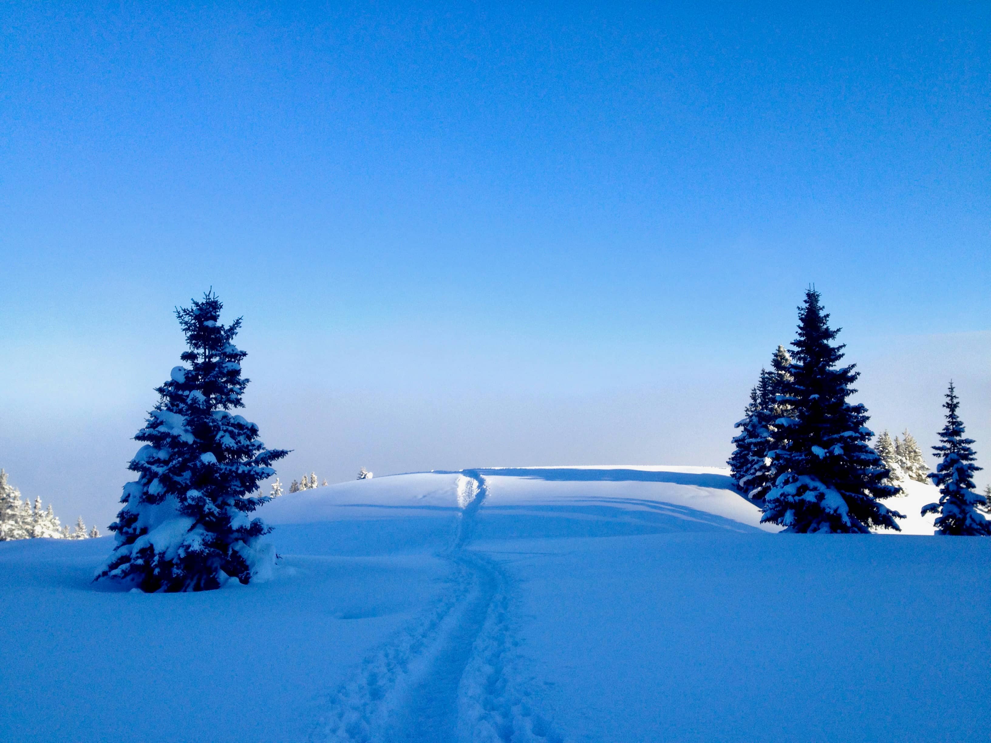 Knapp über dem Nebel