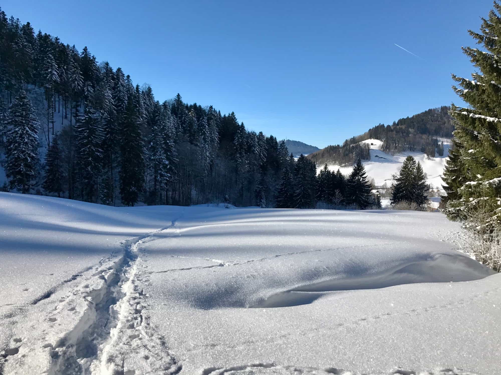 Titelbild Schwarzenberg und Scheidegg