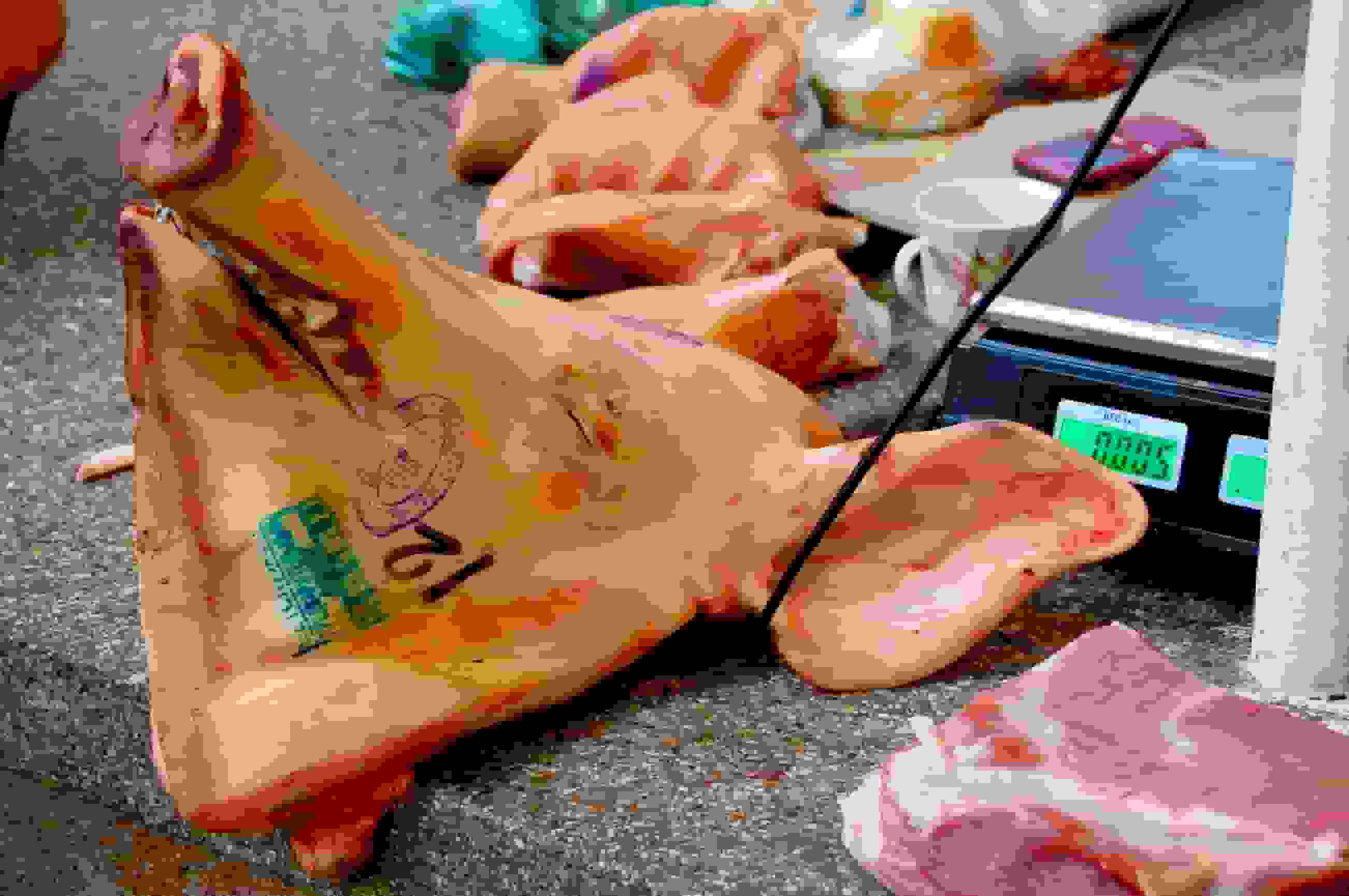 Dieses Schwein hatte kein Schwein