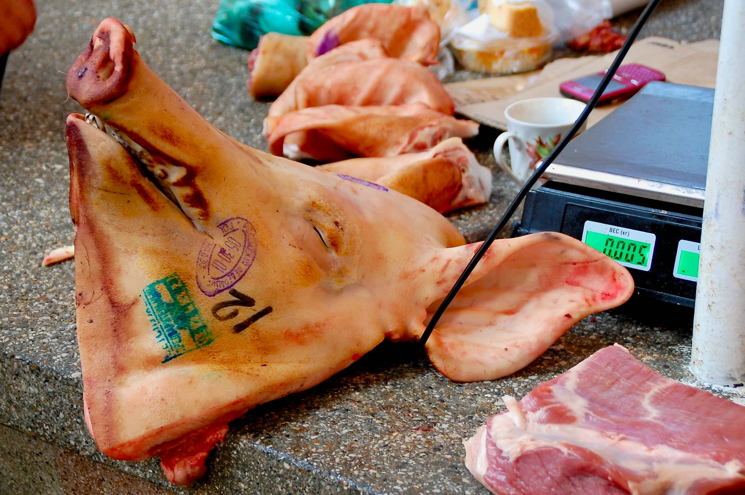 Dieses Schwein hatte kein Schwein