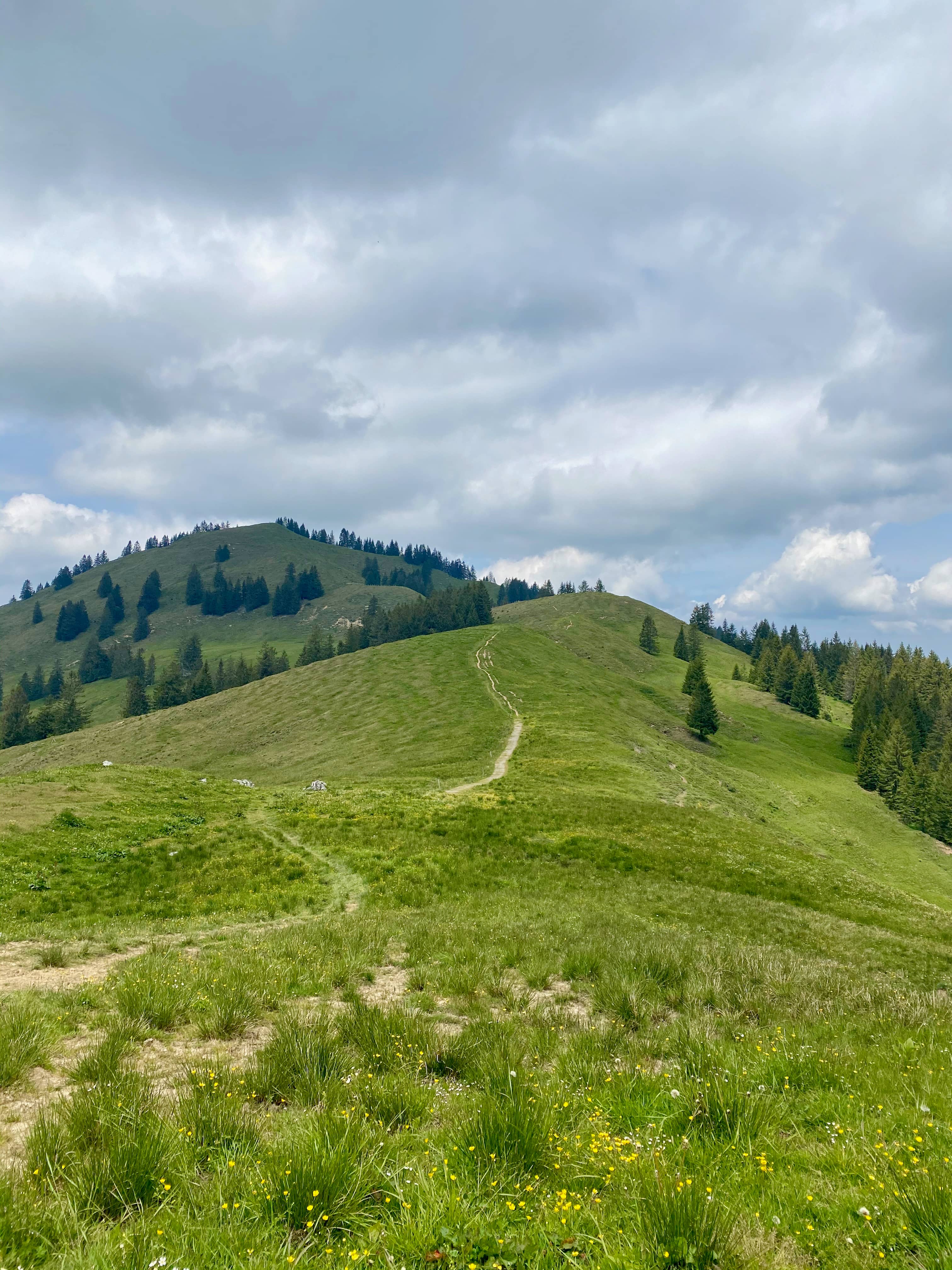 Weiter zum Brüschstockbügel