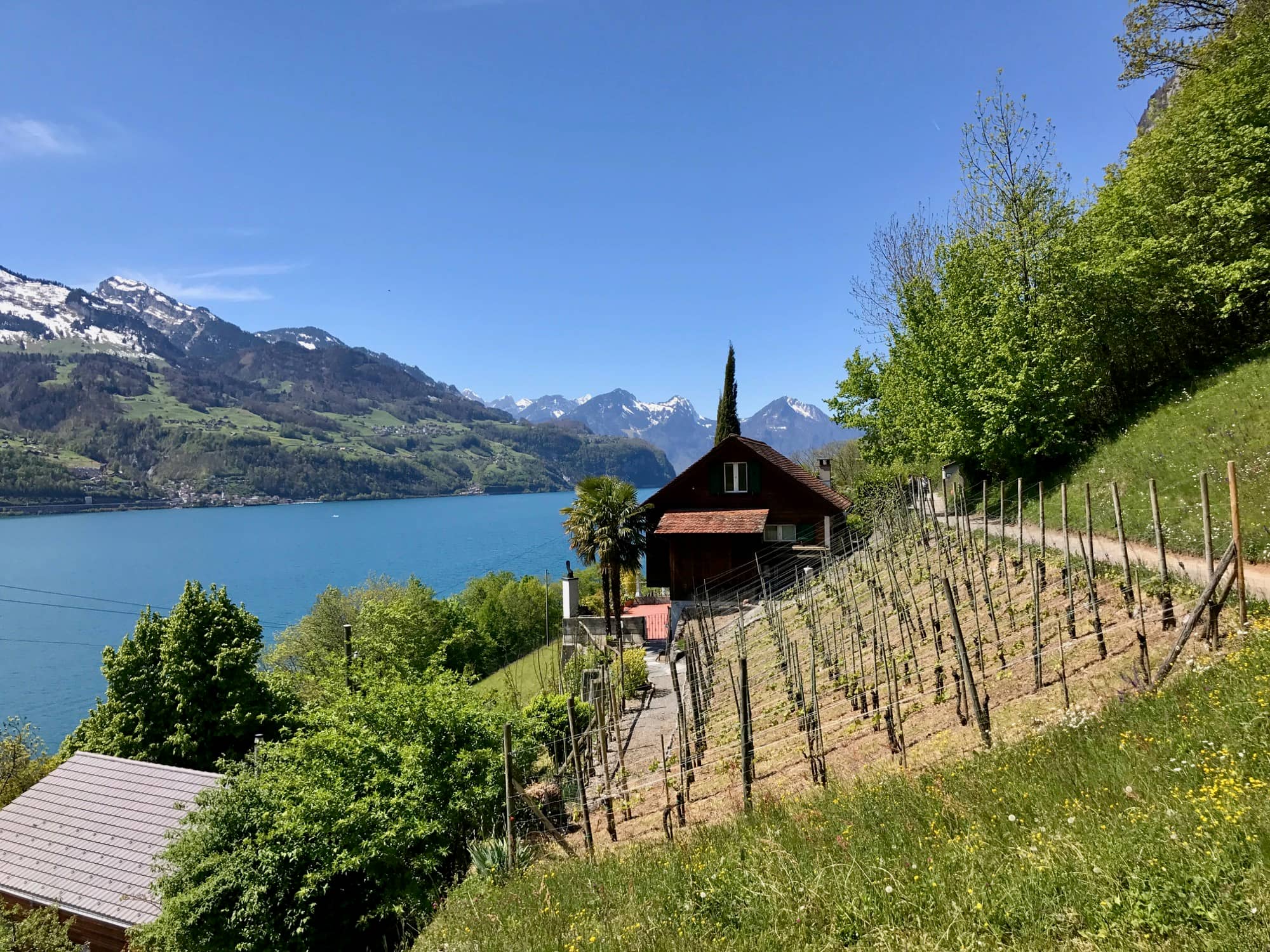 Titelbild Tour Weesen - Betlis - Quinten