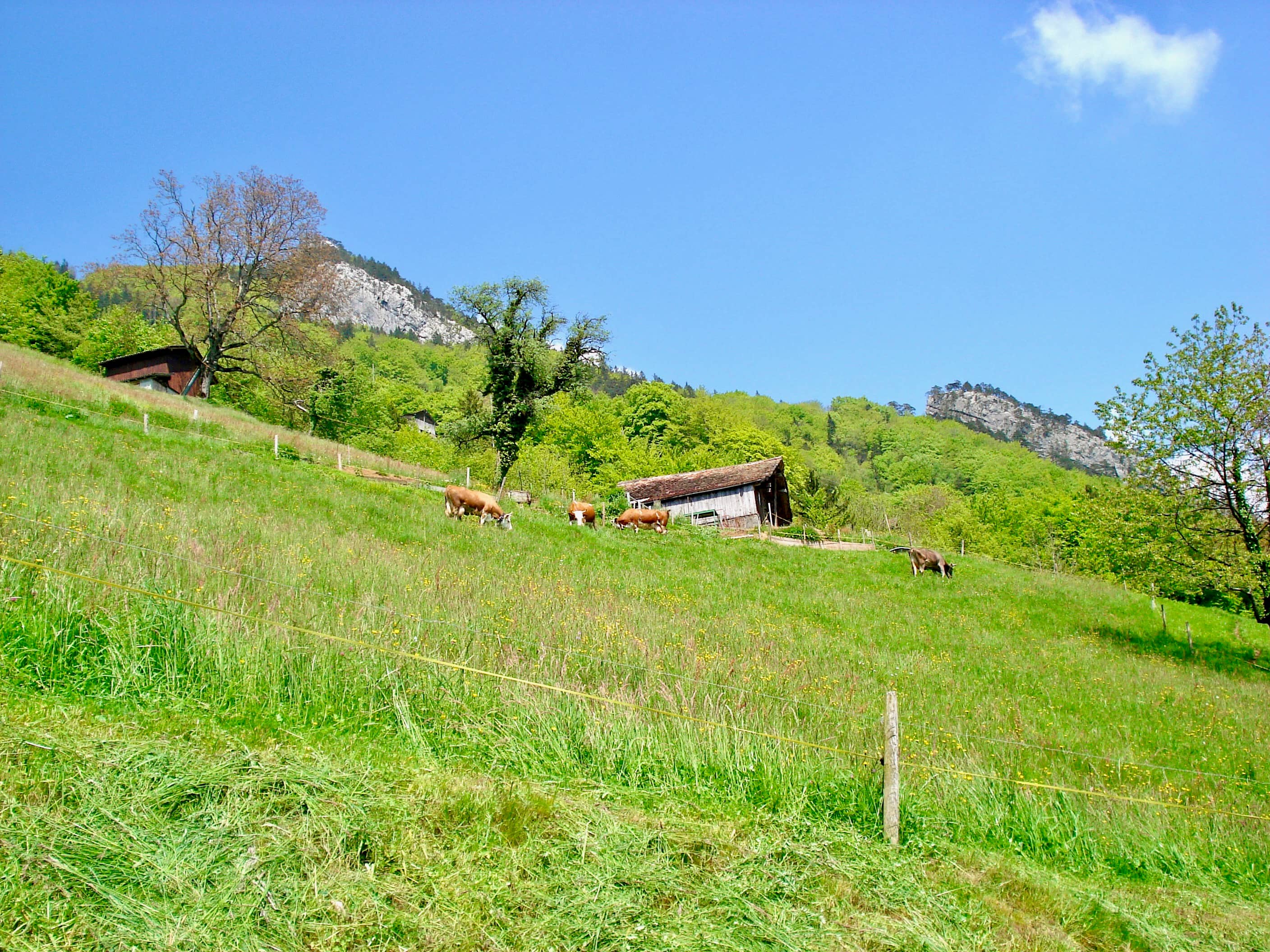 Auf dem Abstieg zurück nach Brunnen