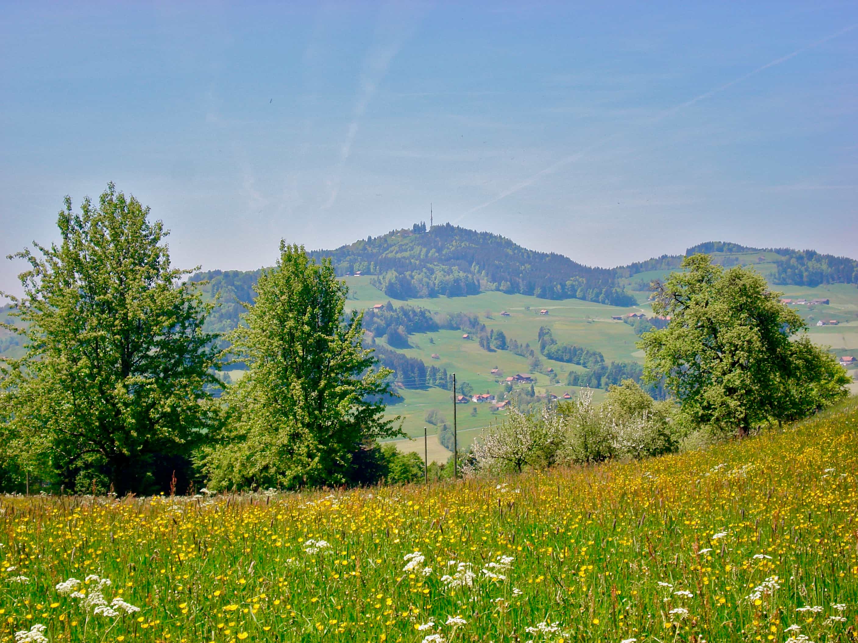 Titelbild Von Steg nach Wald