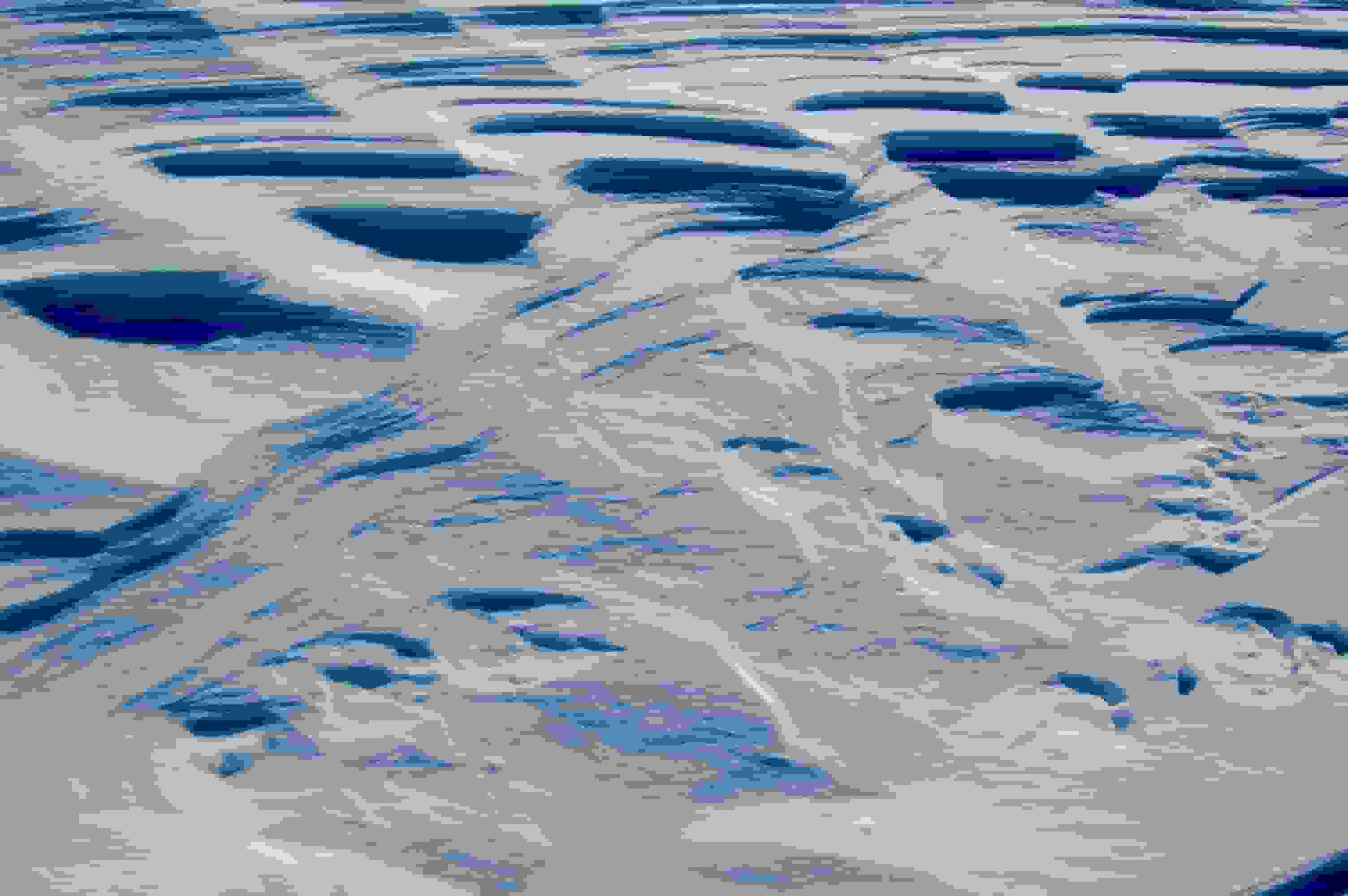 Kunstwerke der Natur