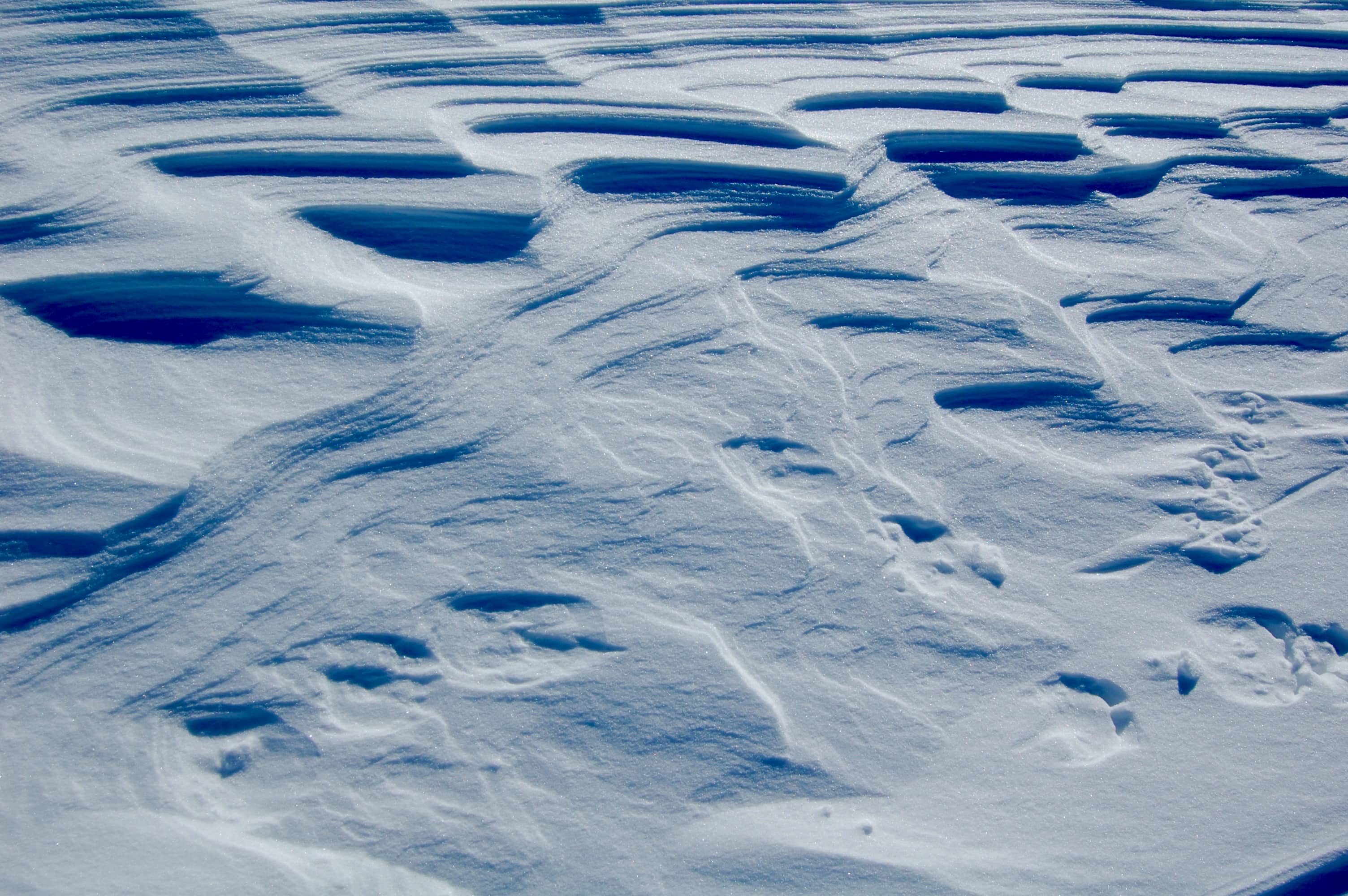 Kunstwerke der Natur