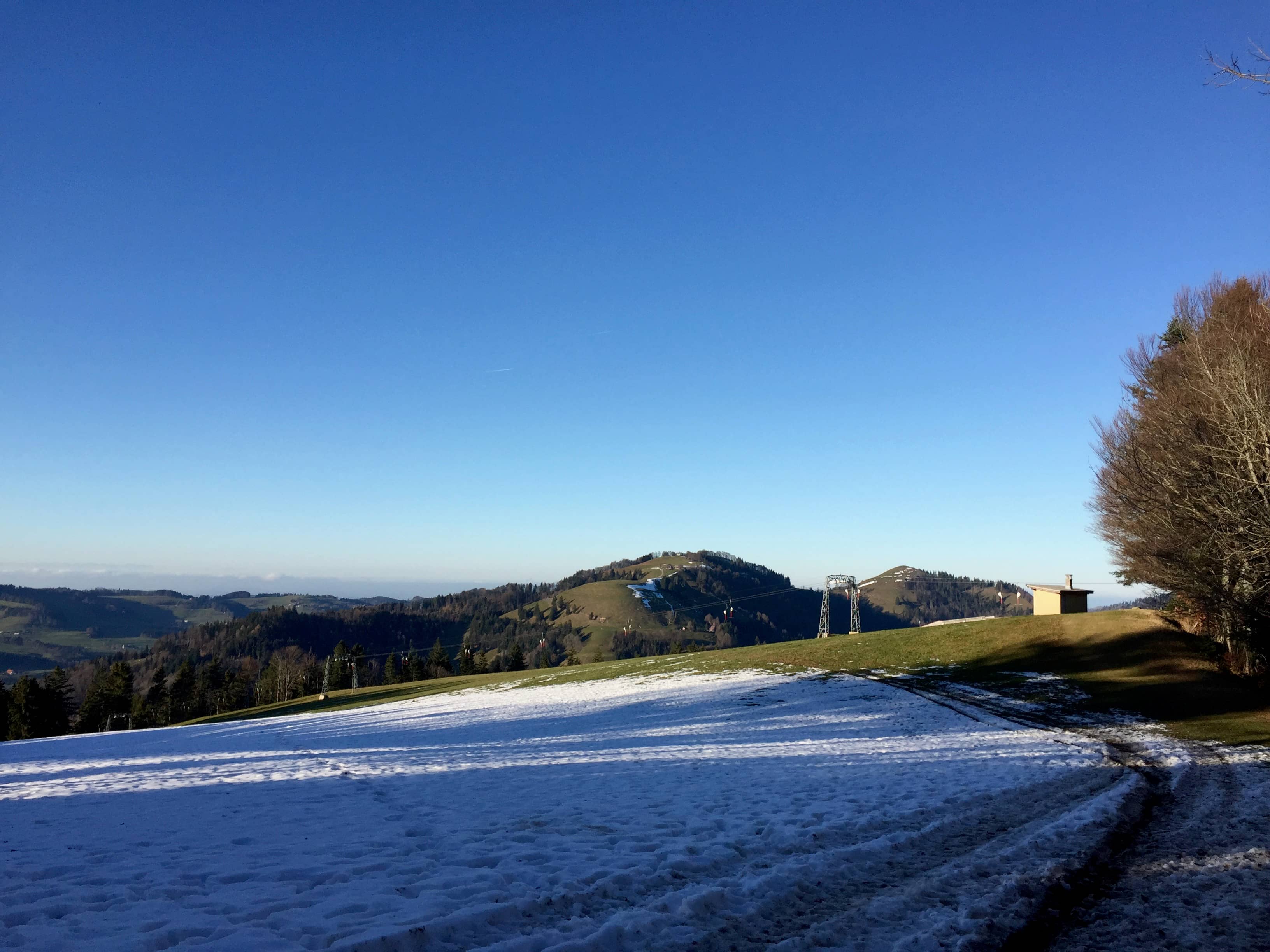 Titelbild Tour Farner - Wolfsgrueb - Wald