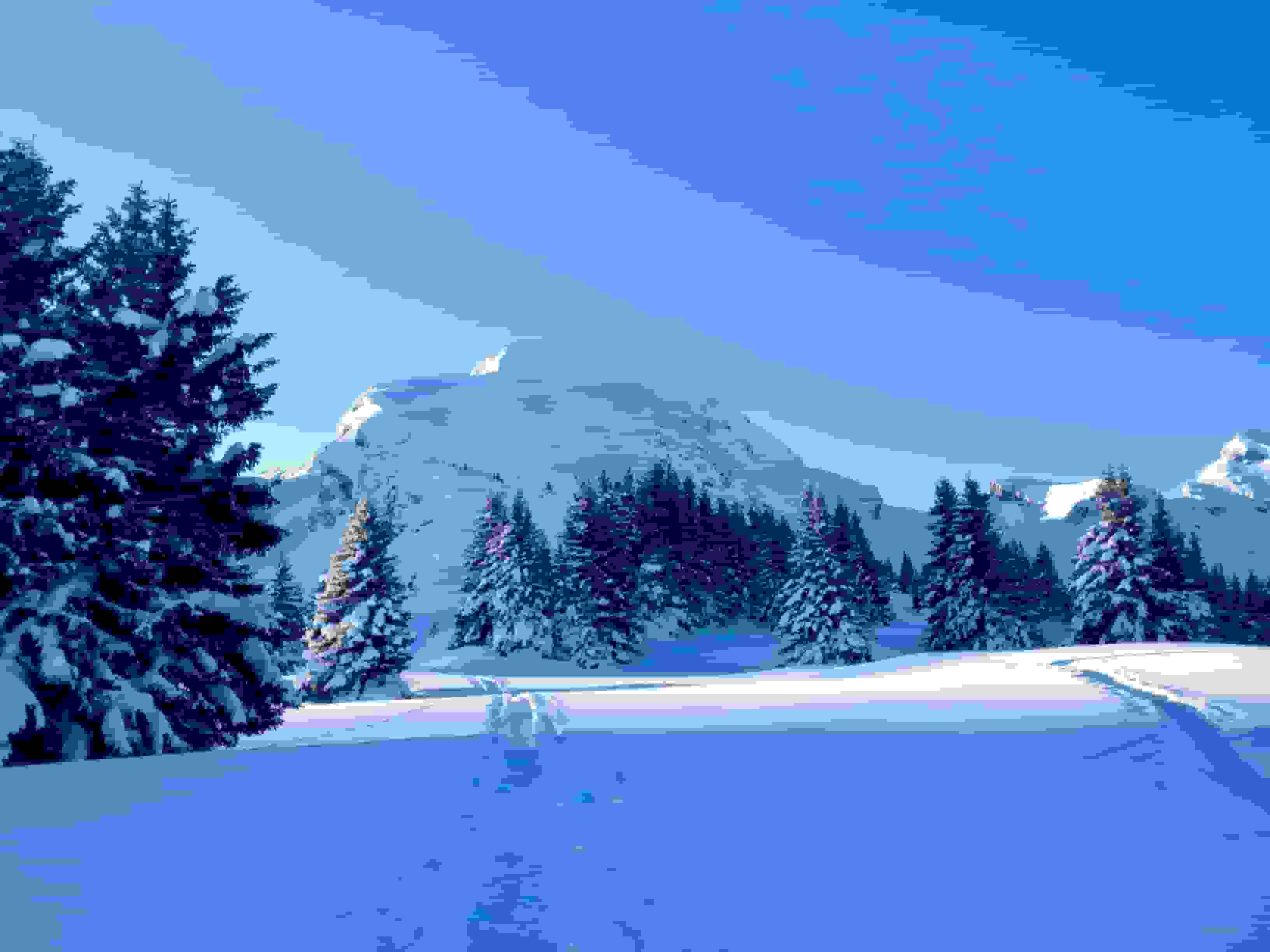 Der Blick auf das Objekt der Begierde wird frei