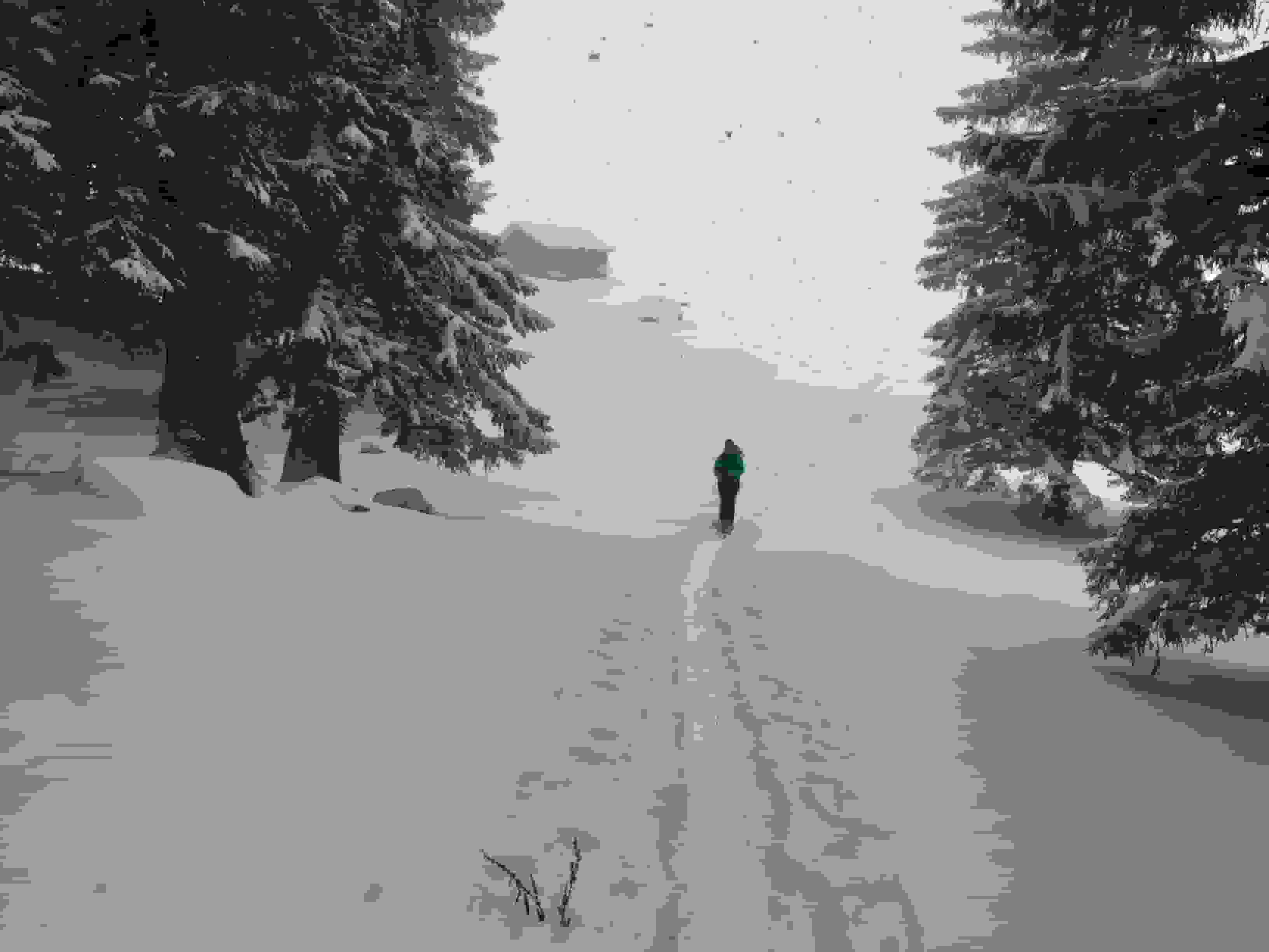 Im Bereich Schaienrossberg