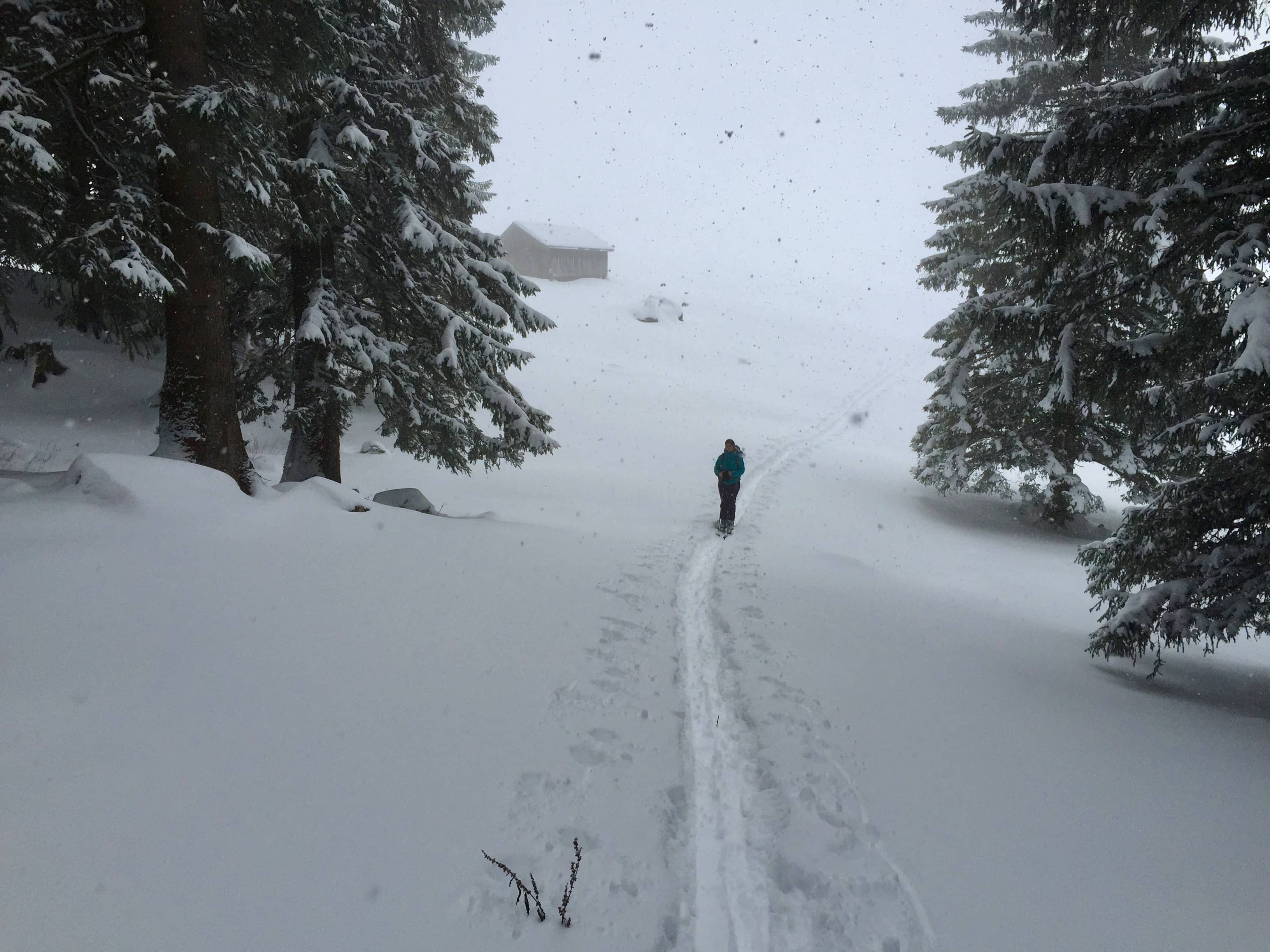 Im Bereich Schaienrossberg
