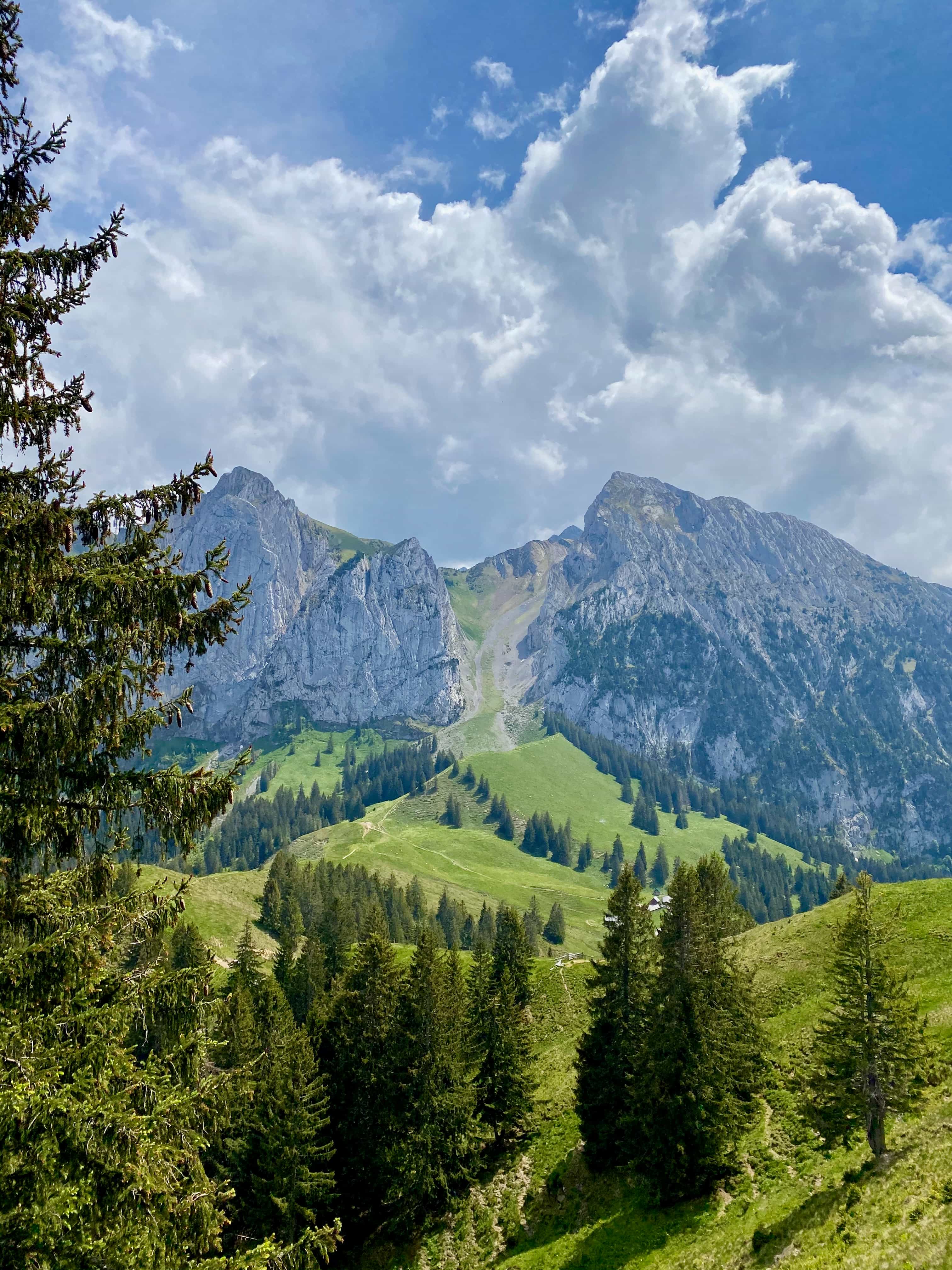 Titelbild Brüeschstockbügel