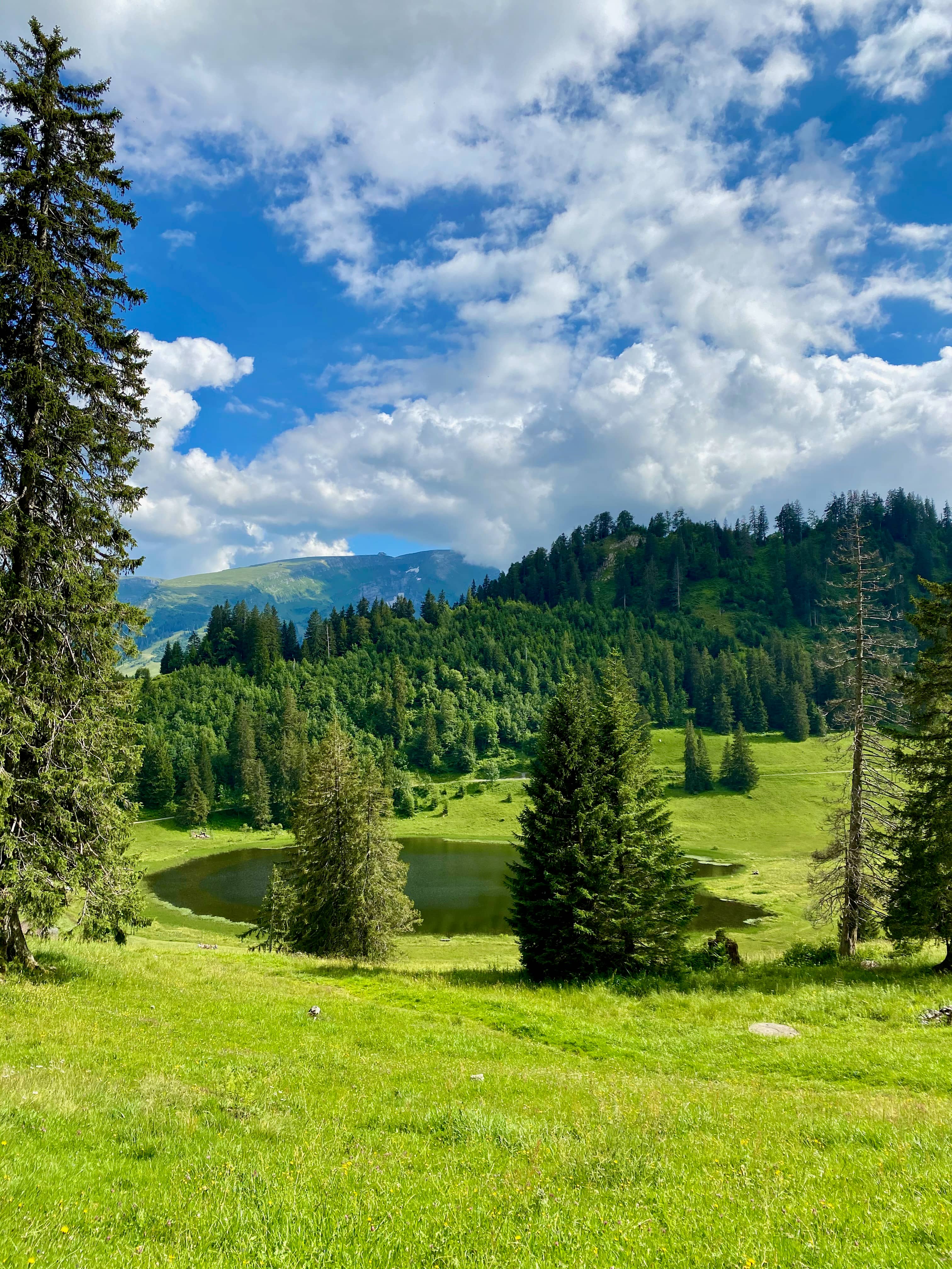 Gräppelensee