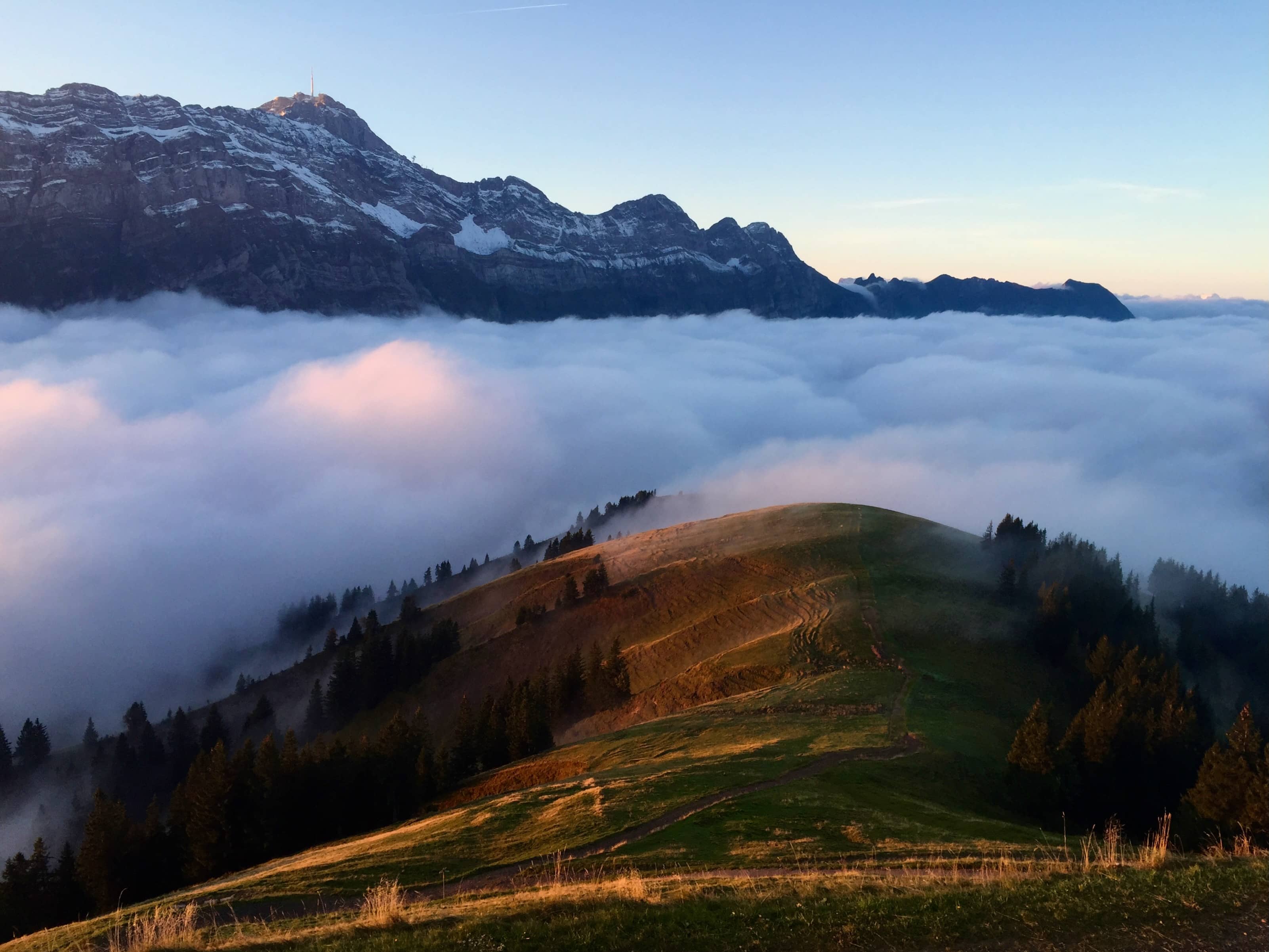 Blick in Richtung Säntis