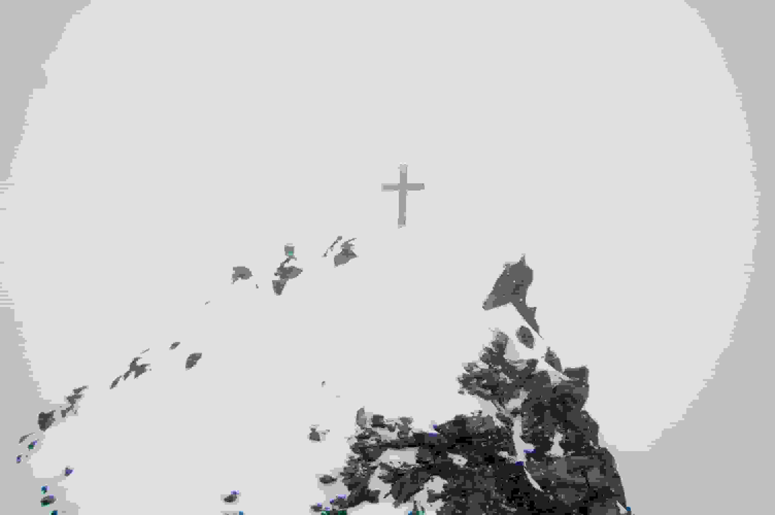 Schattig Wichel in Sicht