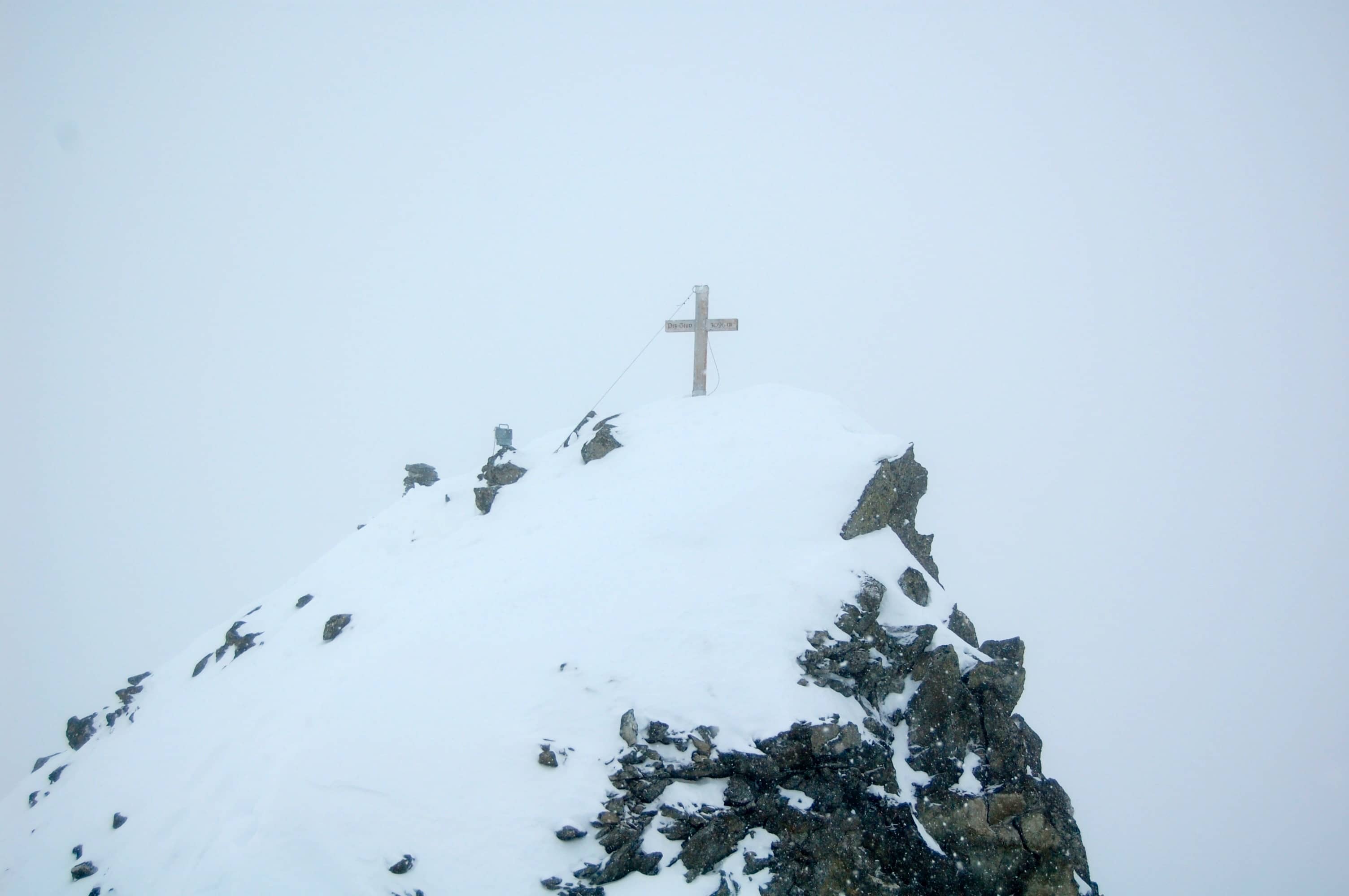 Schattig Wichel in Sicht