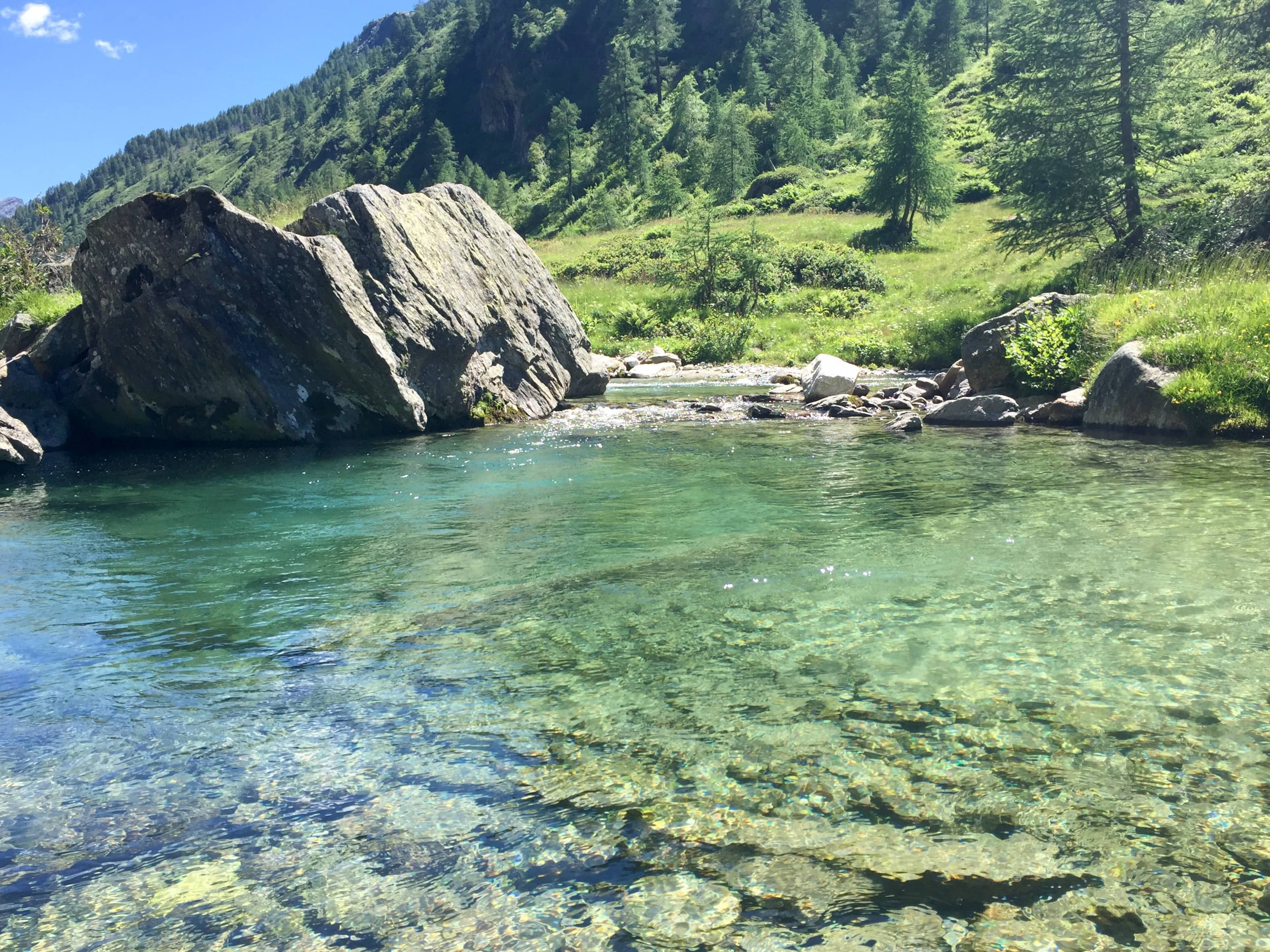 Erfrischendes Bad im kalten Nass