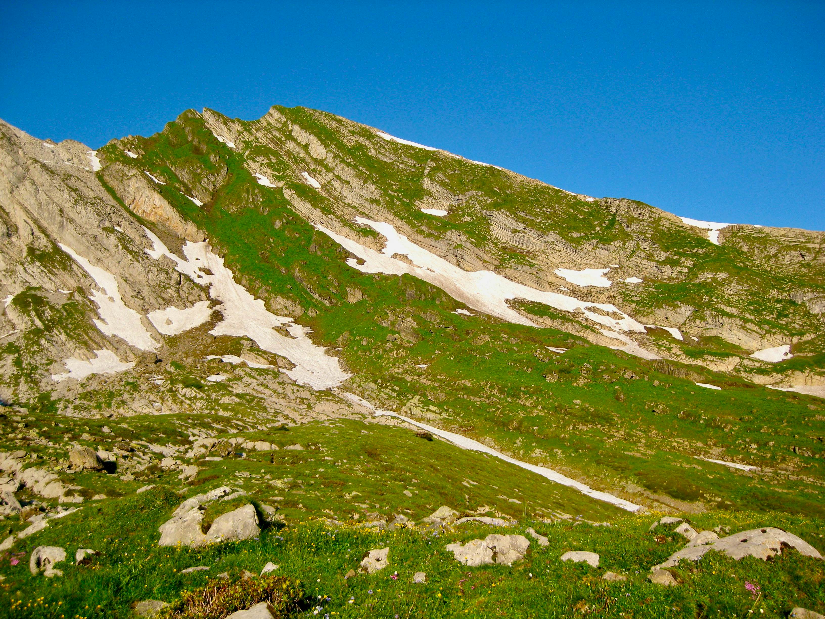 Blick zurück zum Selun. Abstieg über das Gras beim Schneefeld rechts im Bild