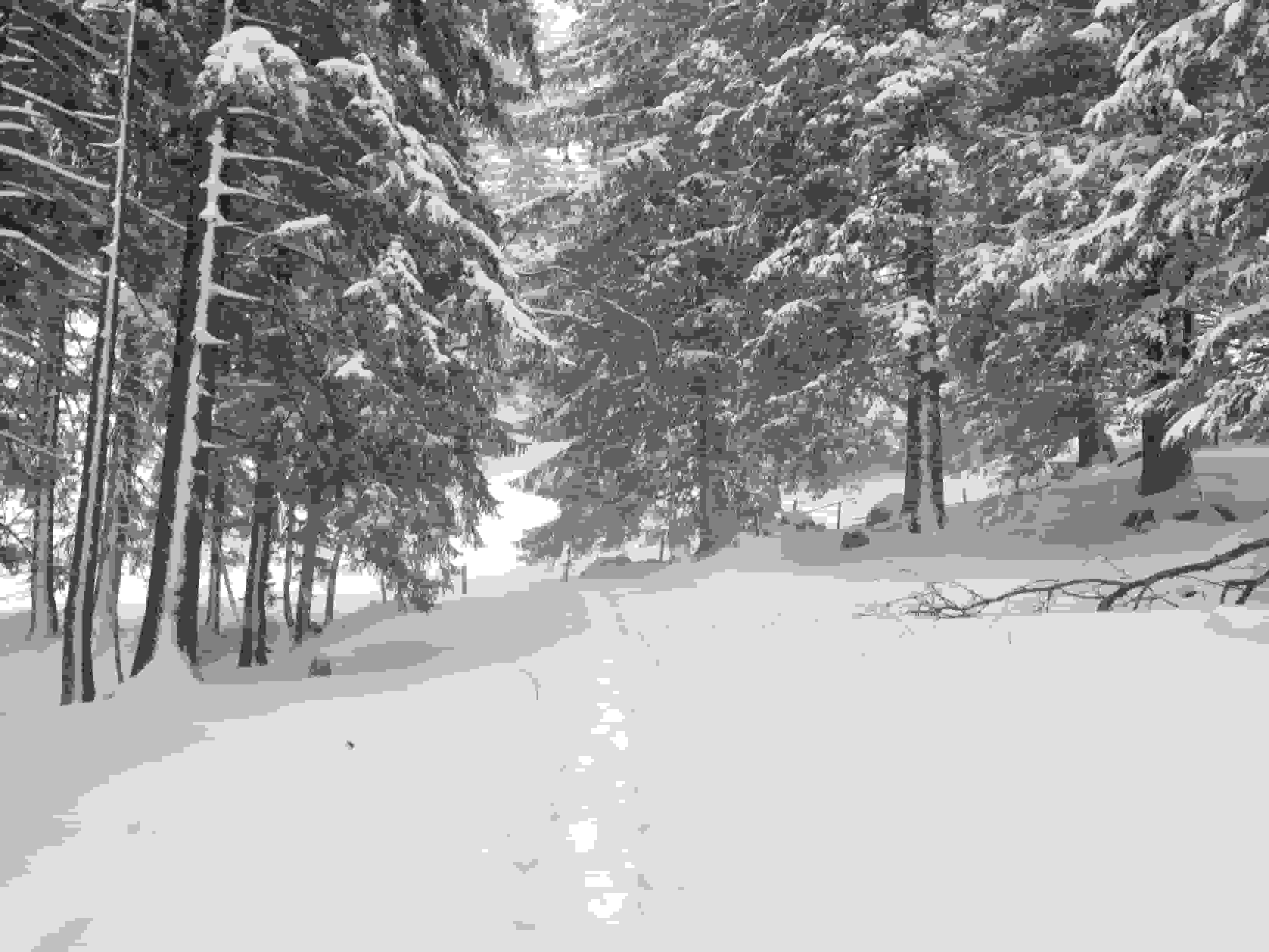 Da hat jemand schon gespurt. Danke!