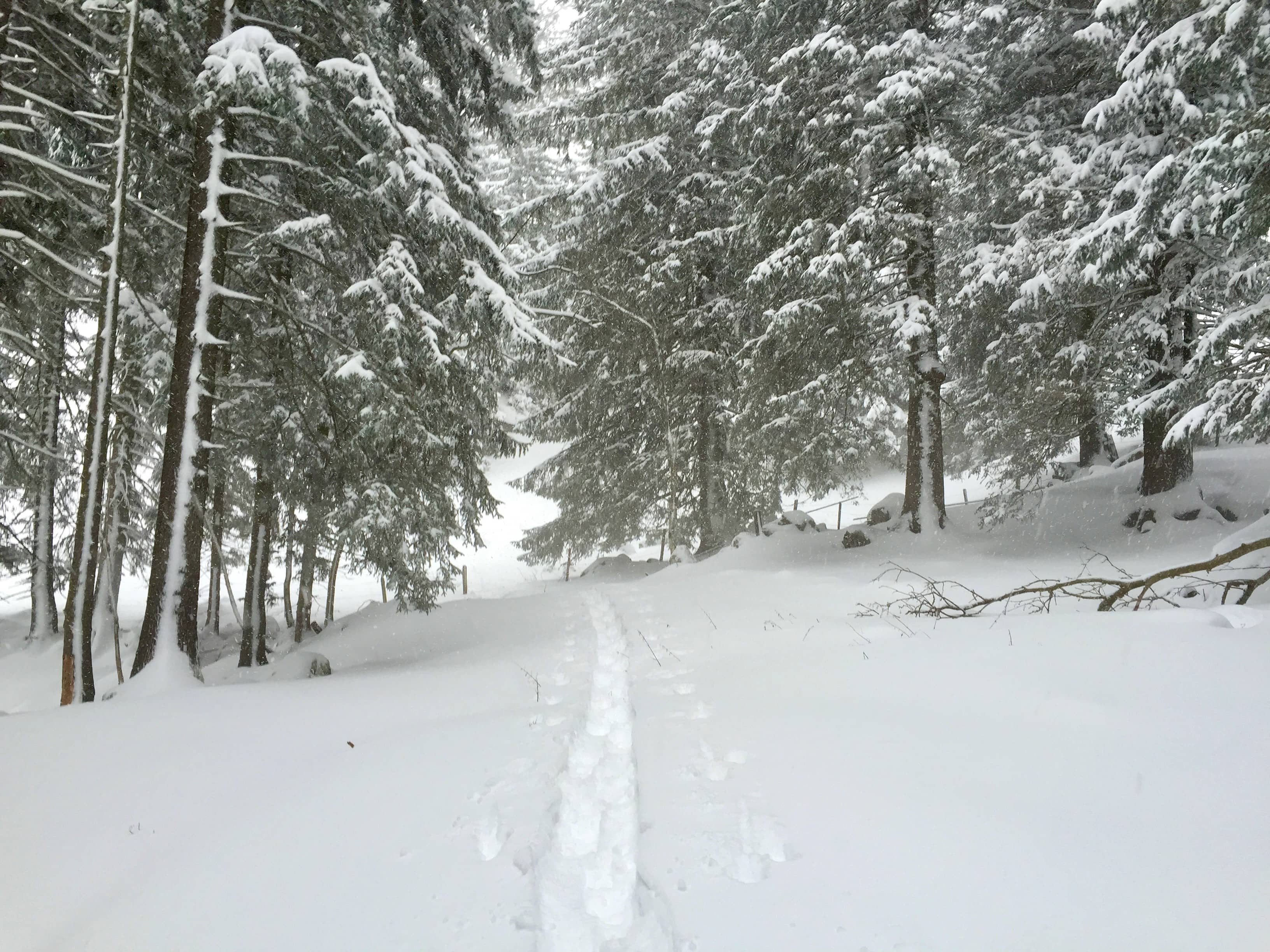 Da hat jemand schon gespurt. Danke!