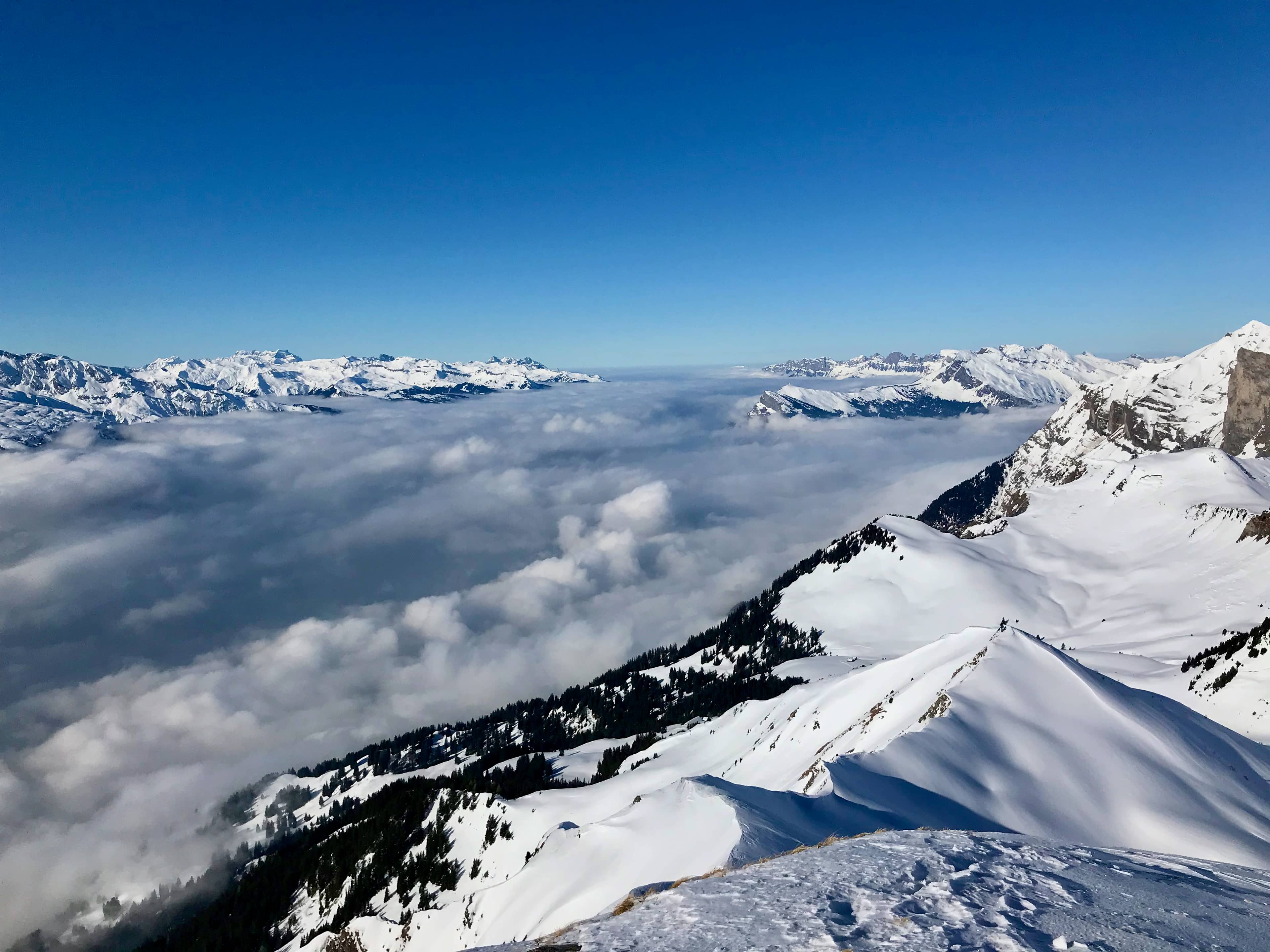 Blick über das Rheintal