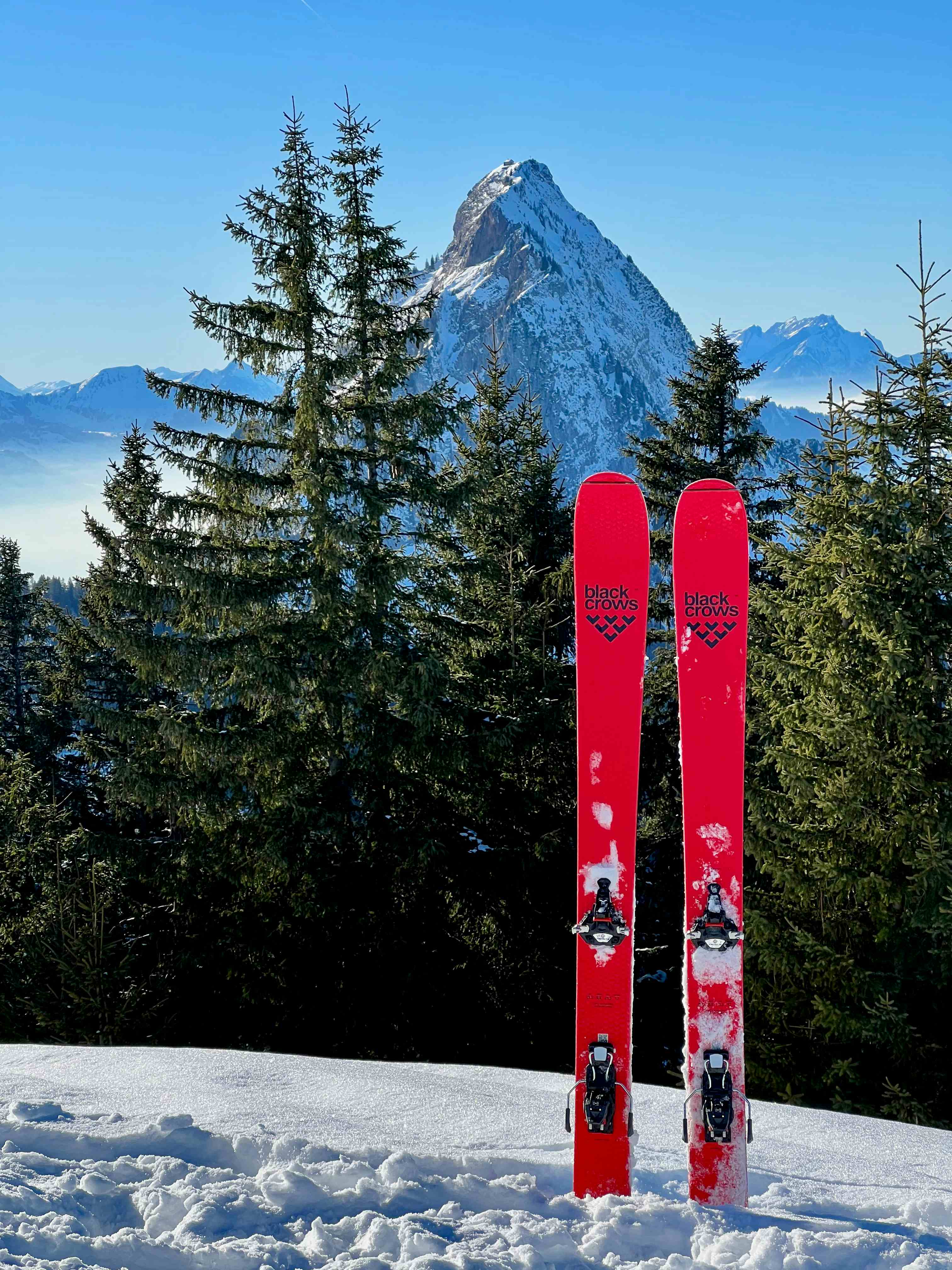 Gipfel Furgglenstock mit Gross Mythen und Ski