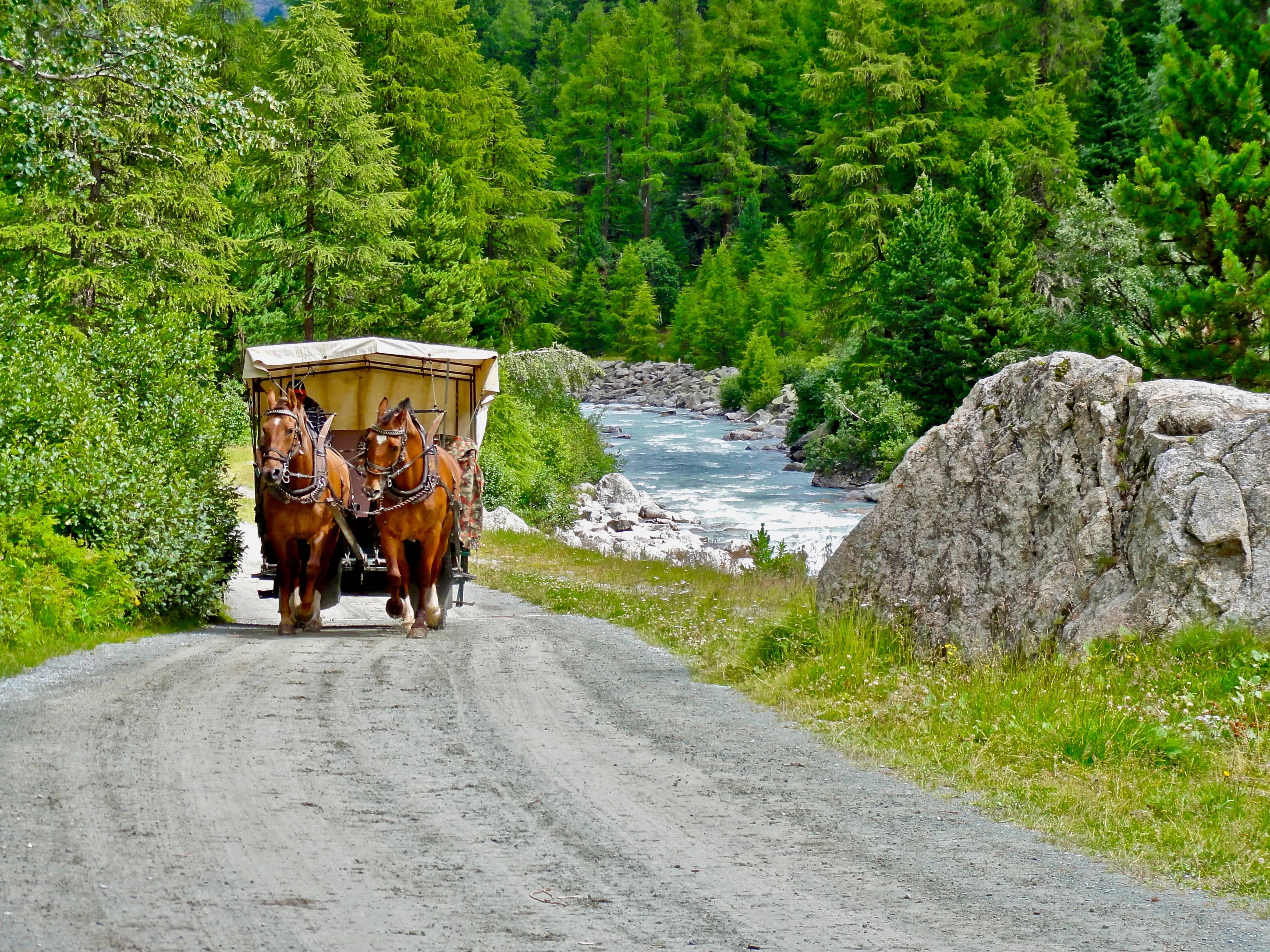 Kutsche im Val Roseg