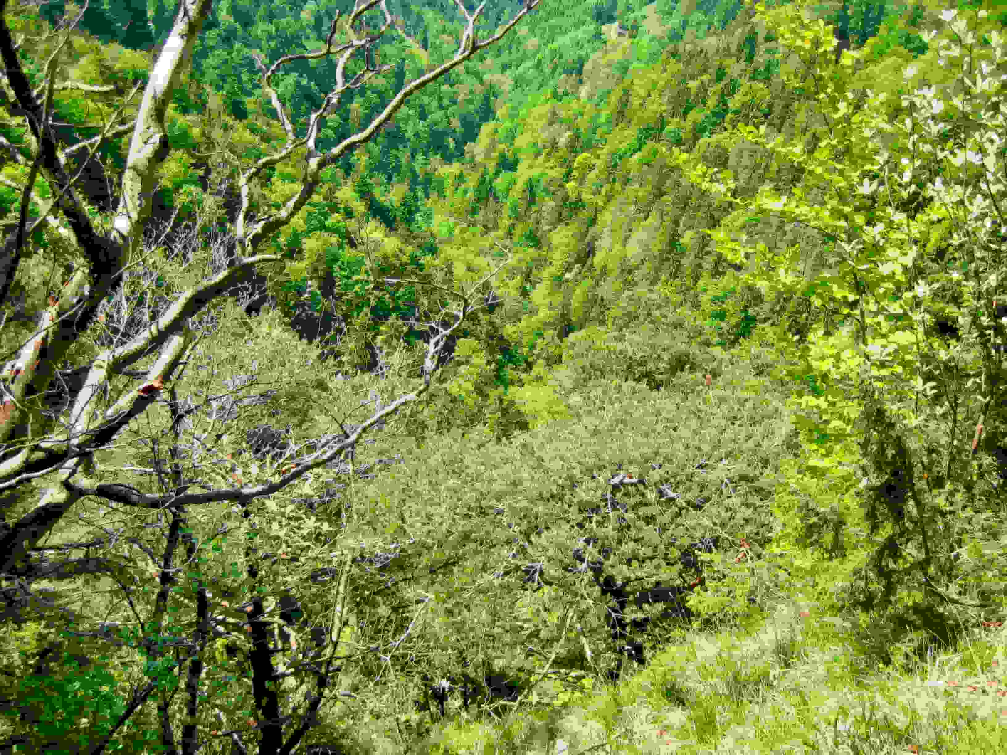 Ausblicke aus der Roten Südwand