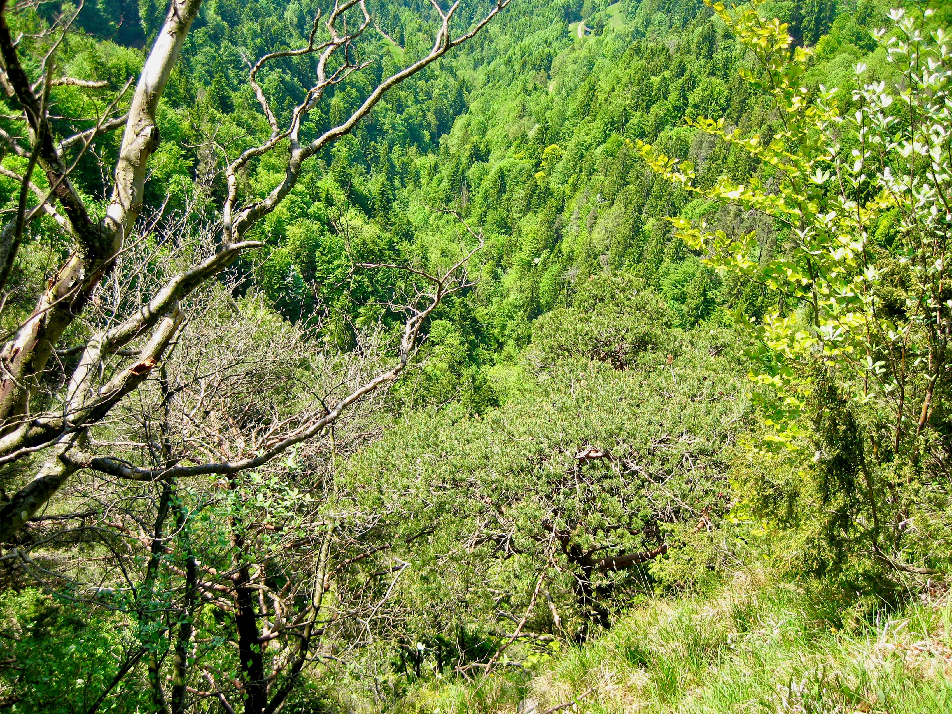 Ausblicke aus der Roten Südwand