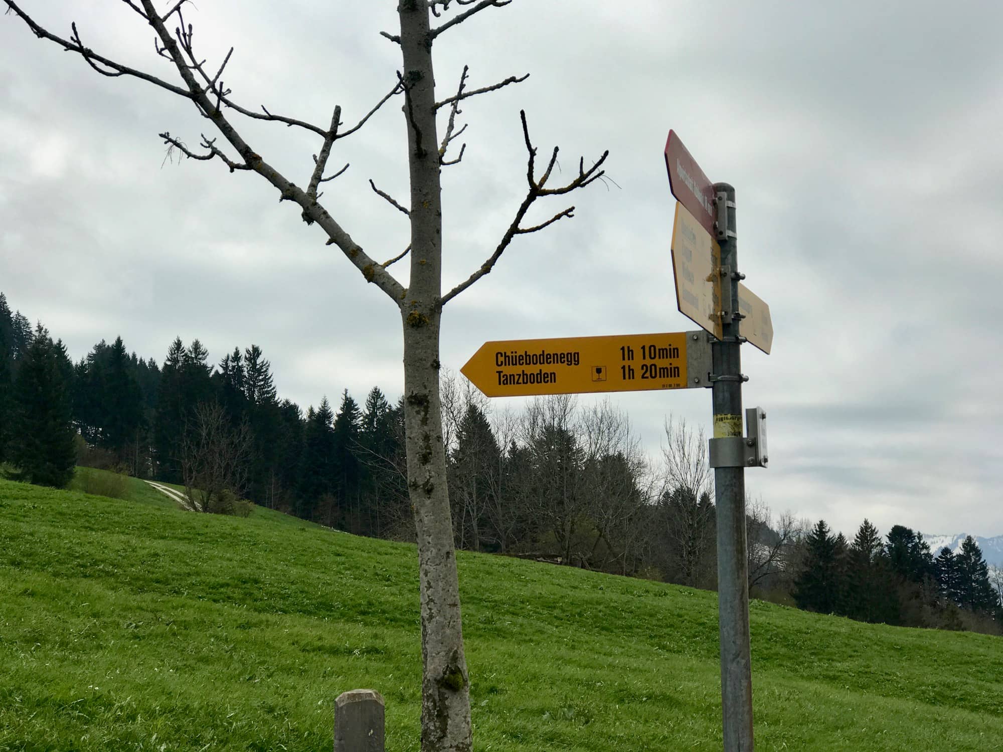 Titelbild Tour Tanzboden